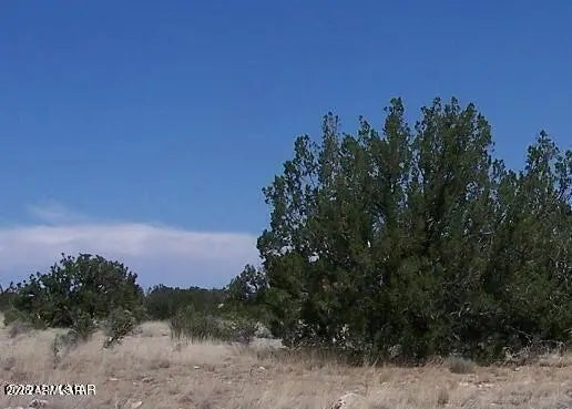 Photo of Listing #6829872