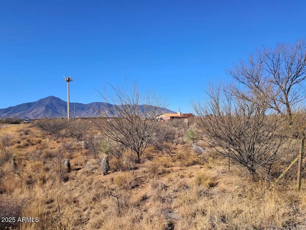 Tbd W Newell Street (unit 10257332), Naco
