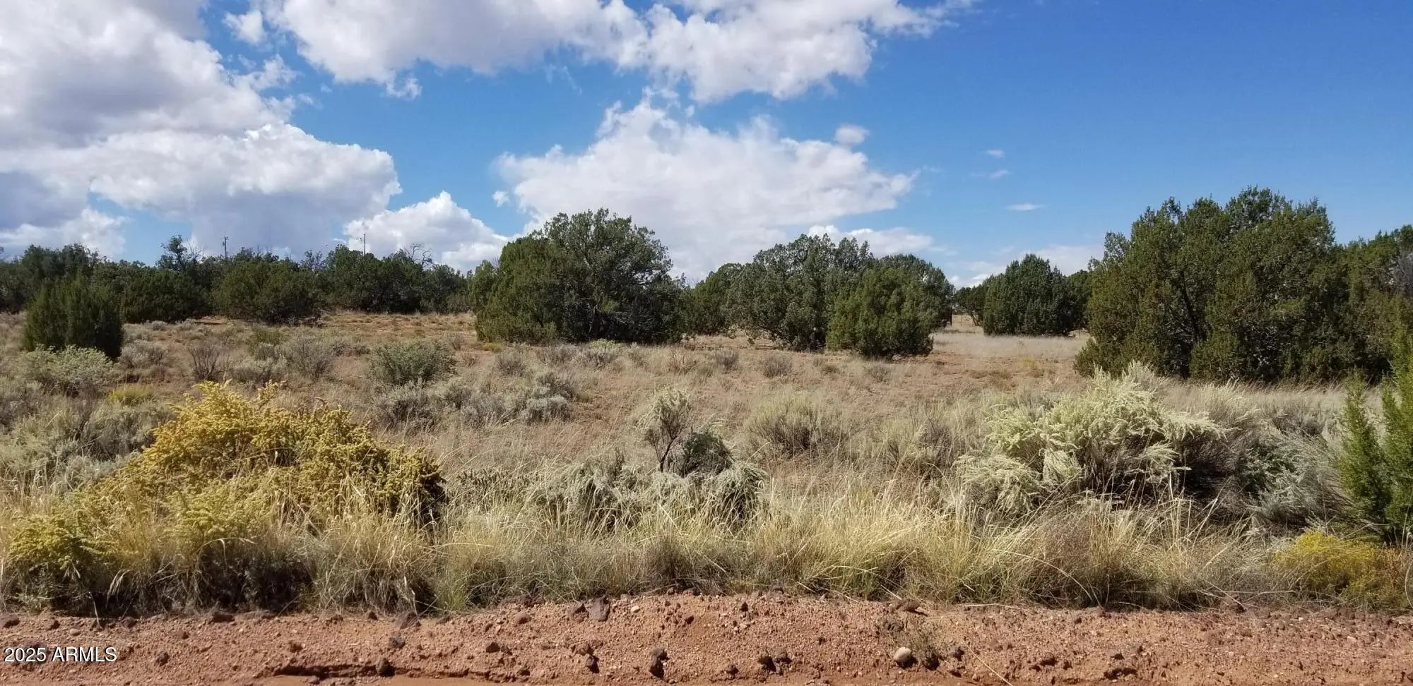 Photo of Listing #6837550