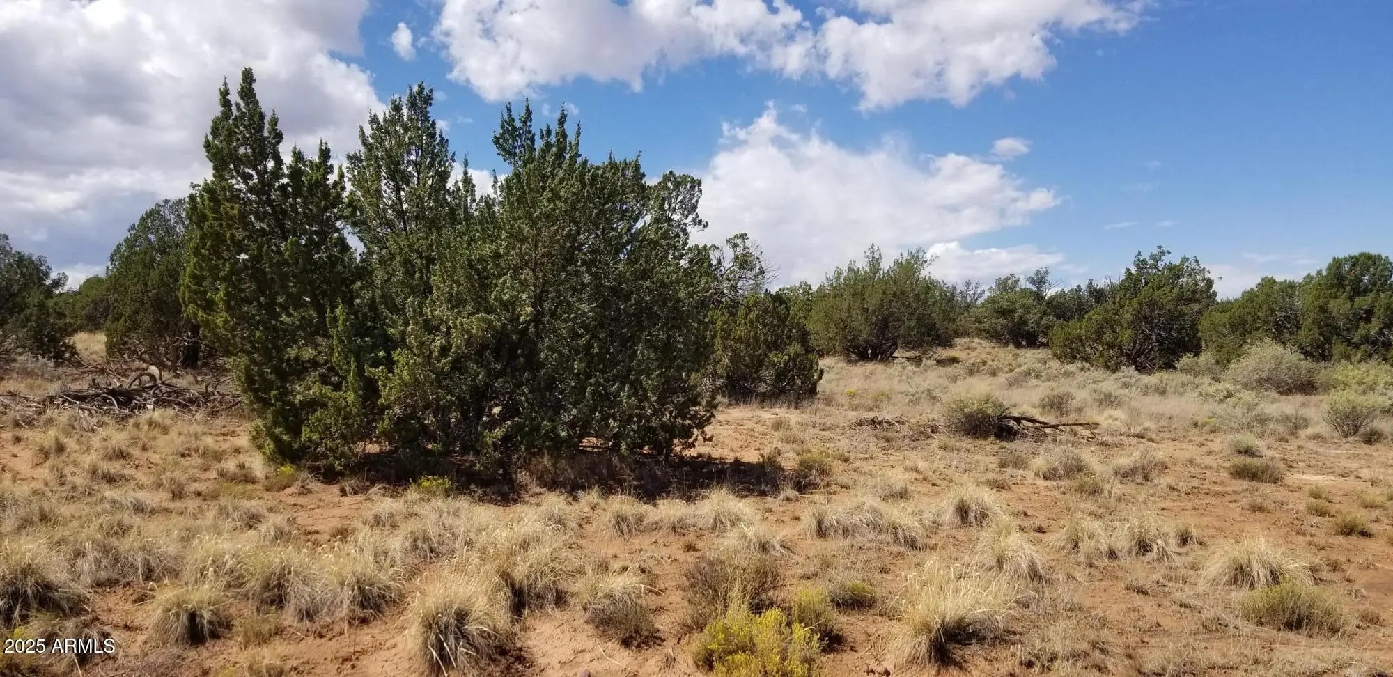 Photo of Listing #6837587