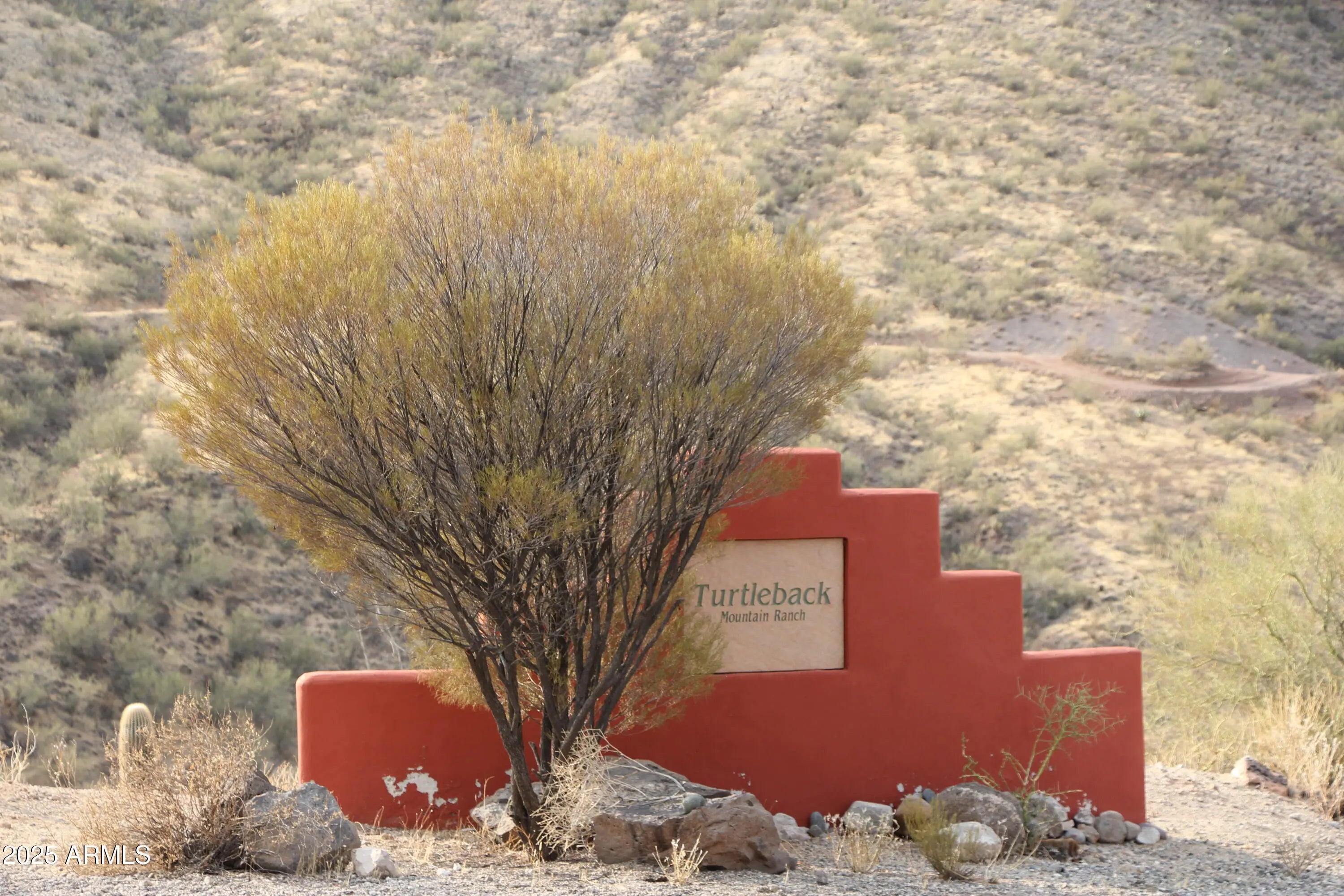 Photo of Listing #6841961