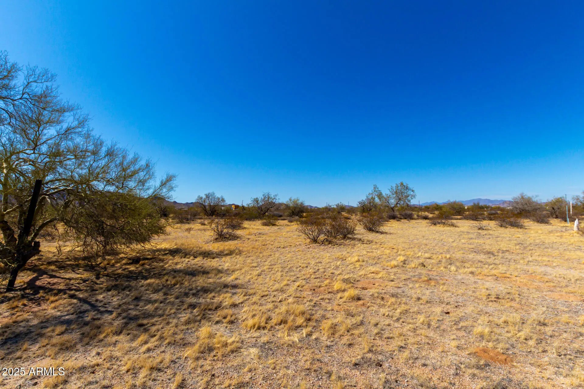 Photo of Listing #6840299