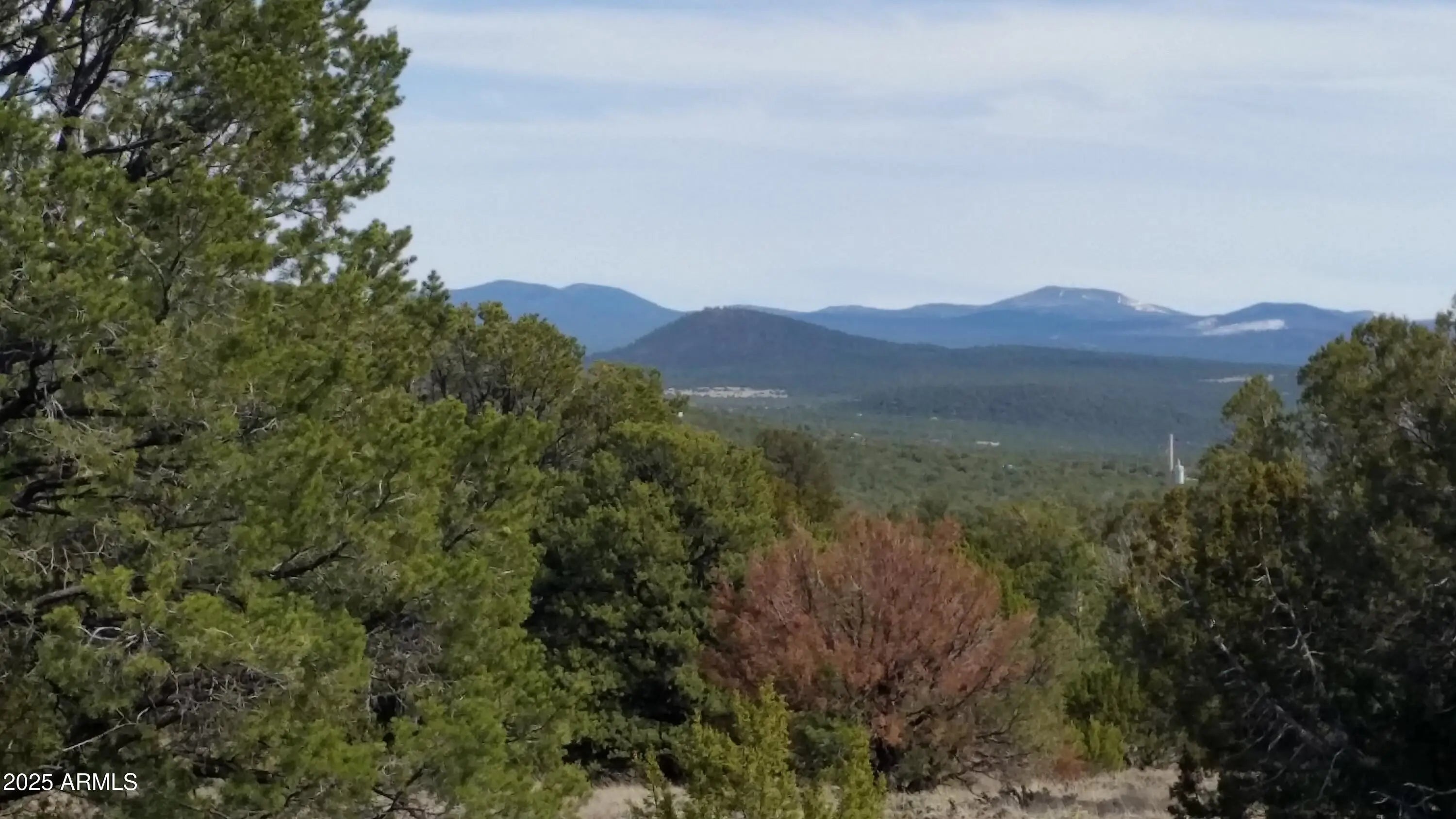 Photo of Listing #6842898