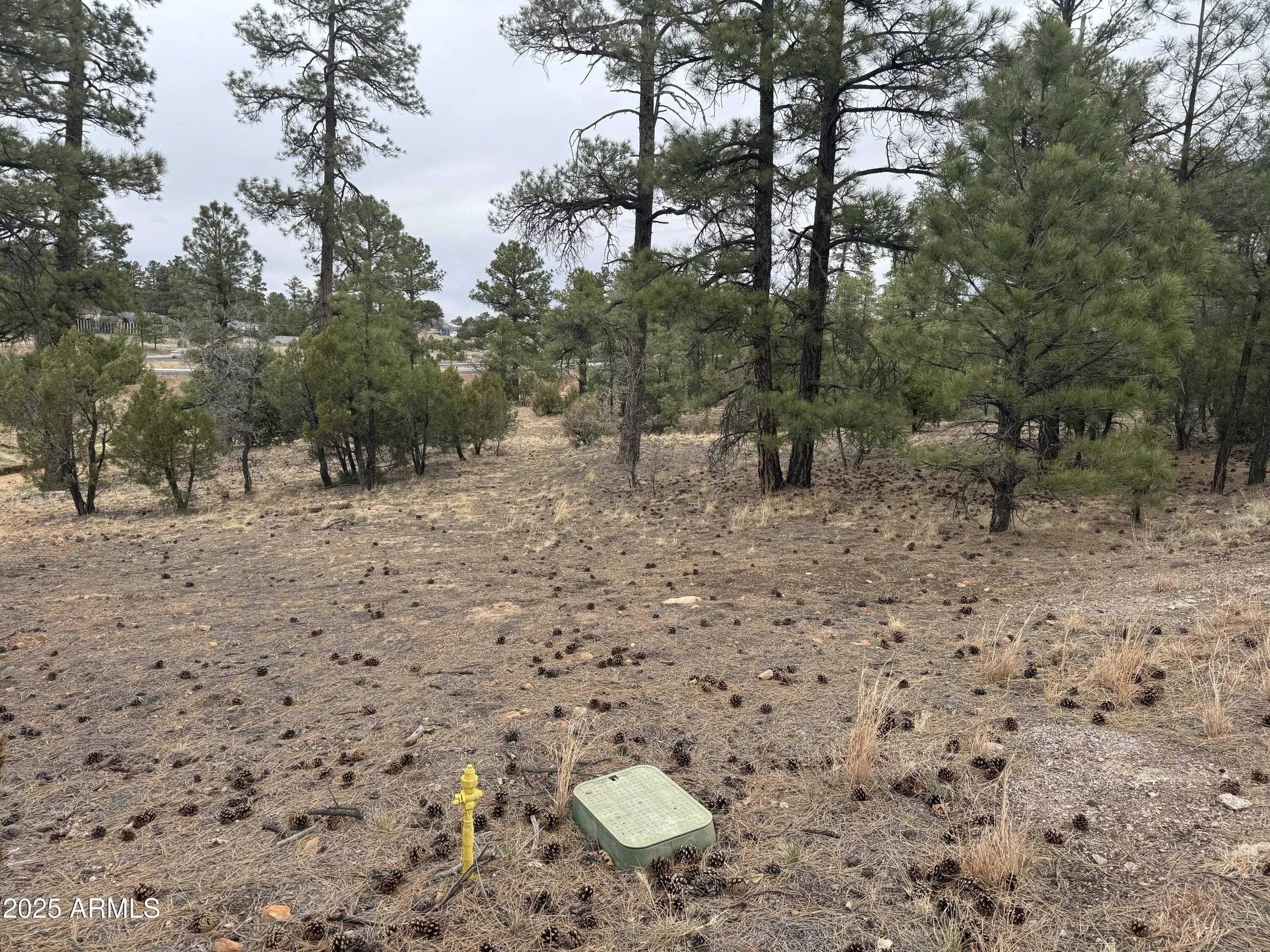 Photo of Listing #6843232