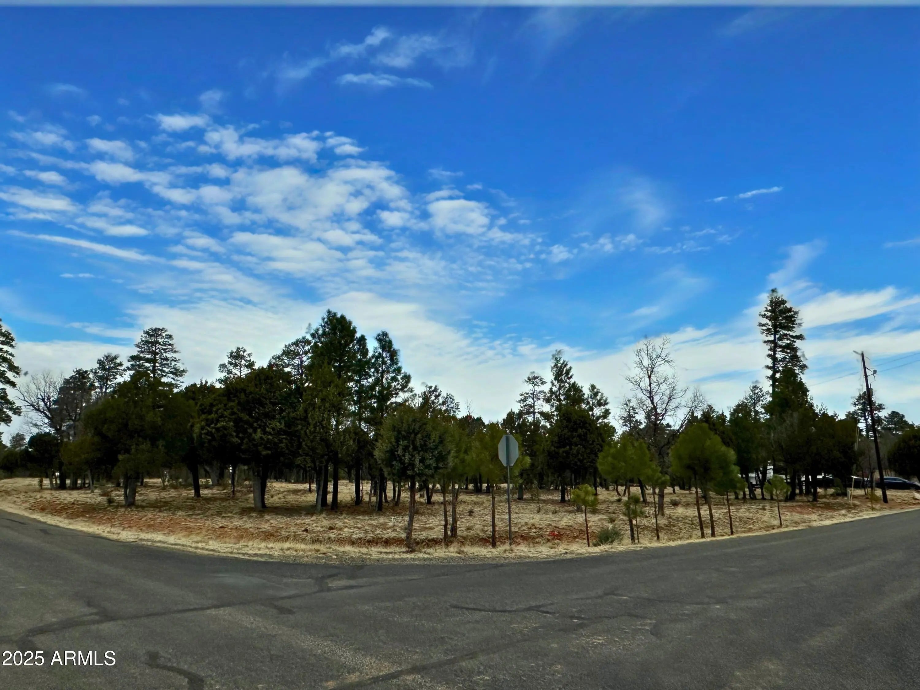 Photo of Listing #6845247