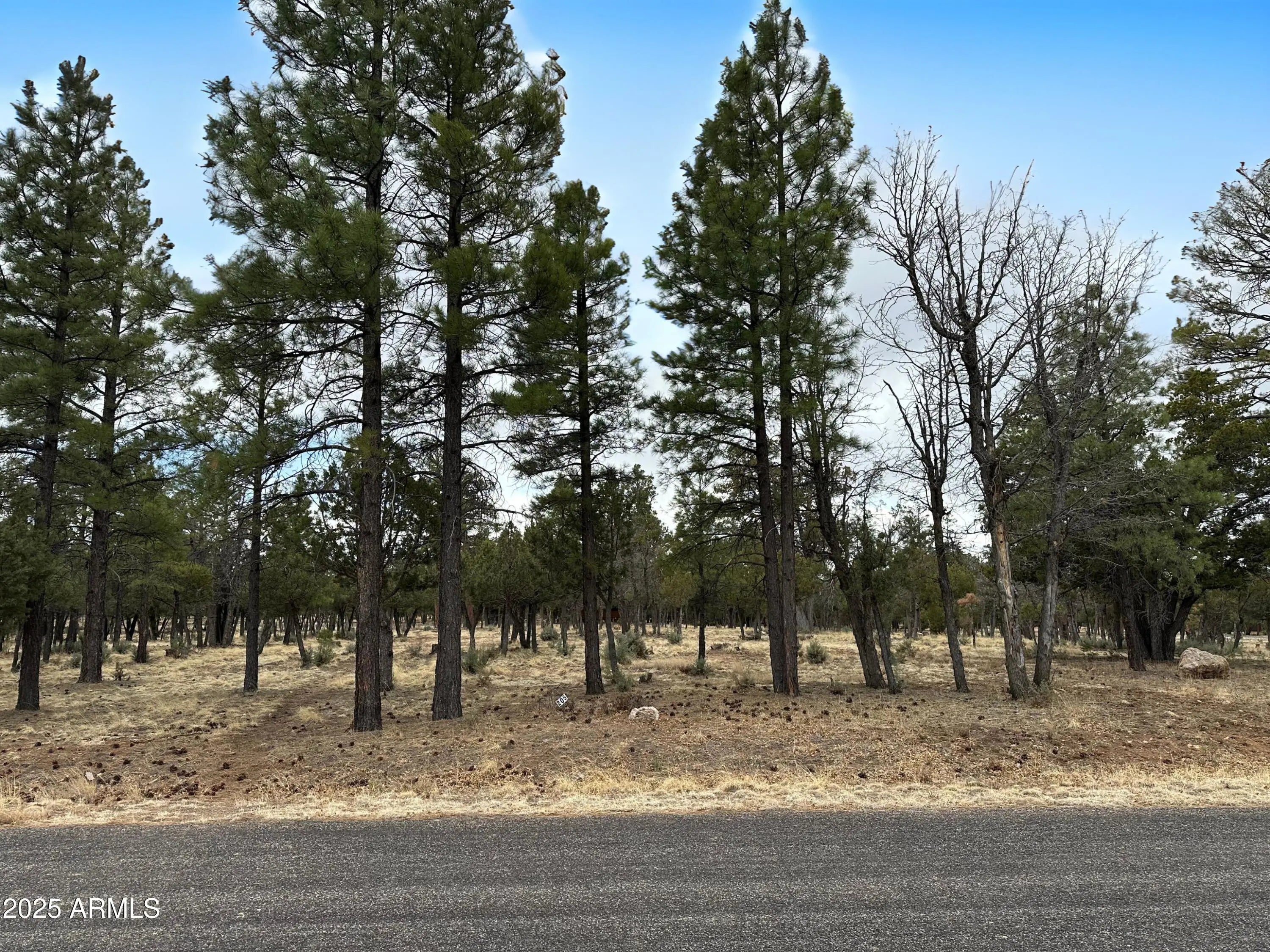 Photo of Listing #6845262