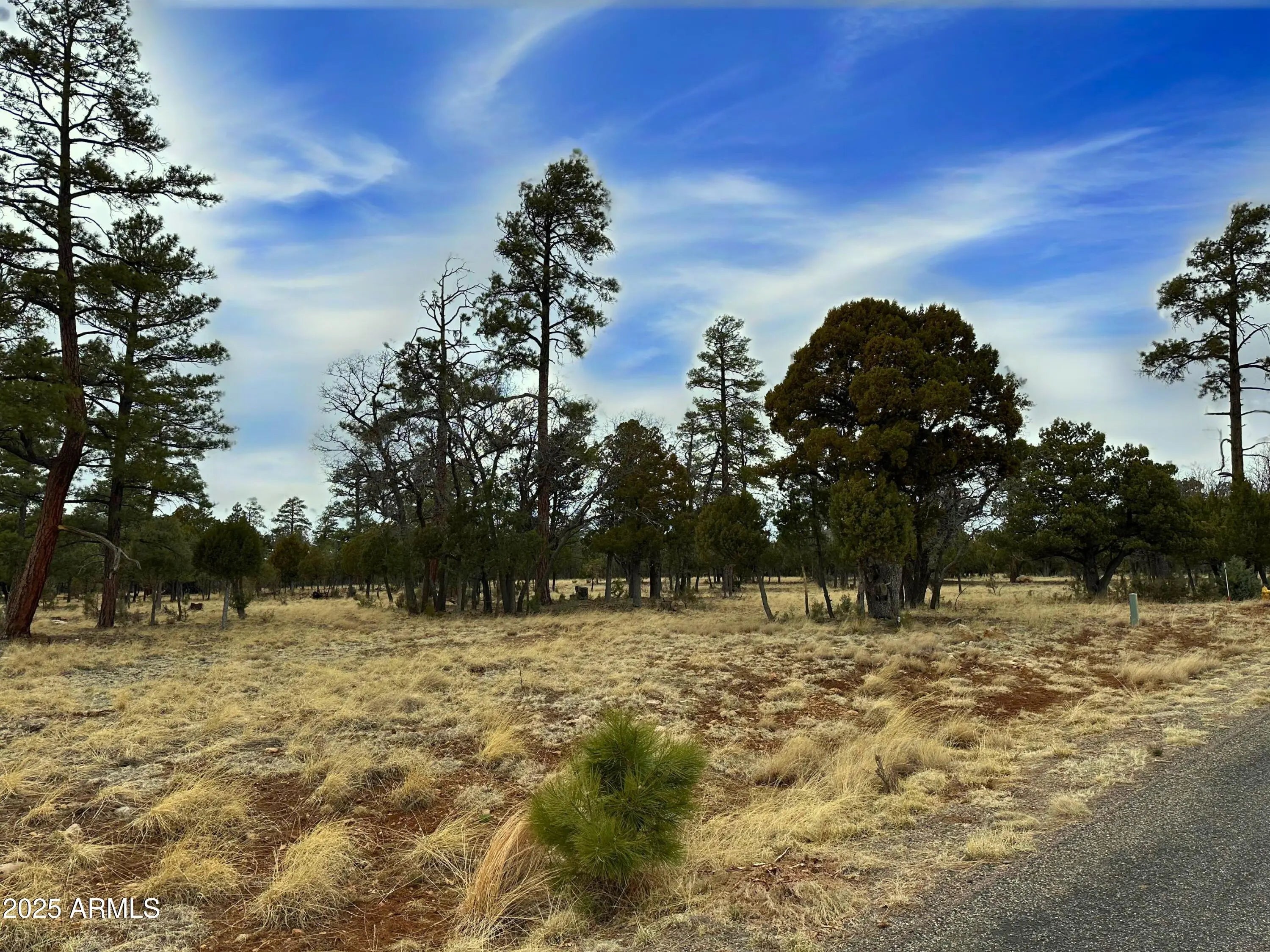 Photo of Listing #6845259