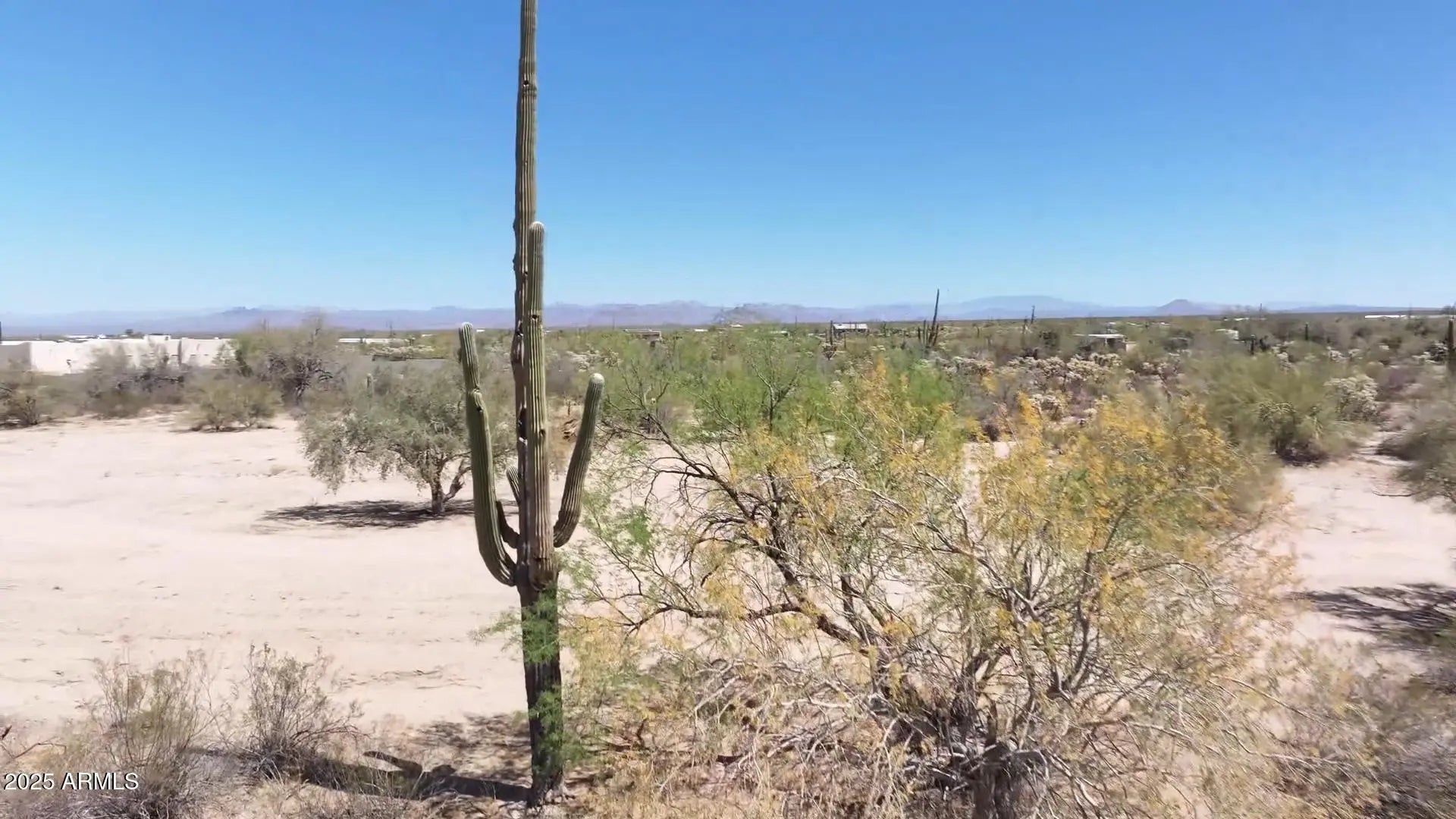 Photo of Listing #6844244