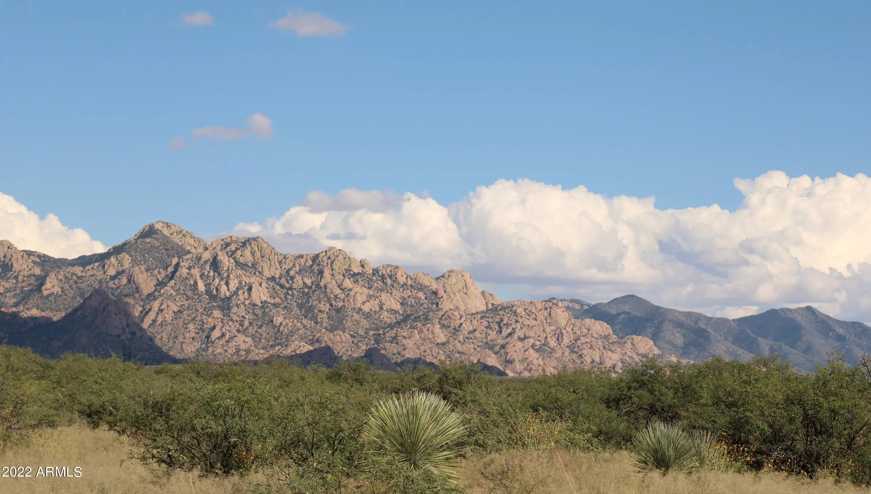 Photo of Listing #6847510