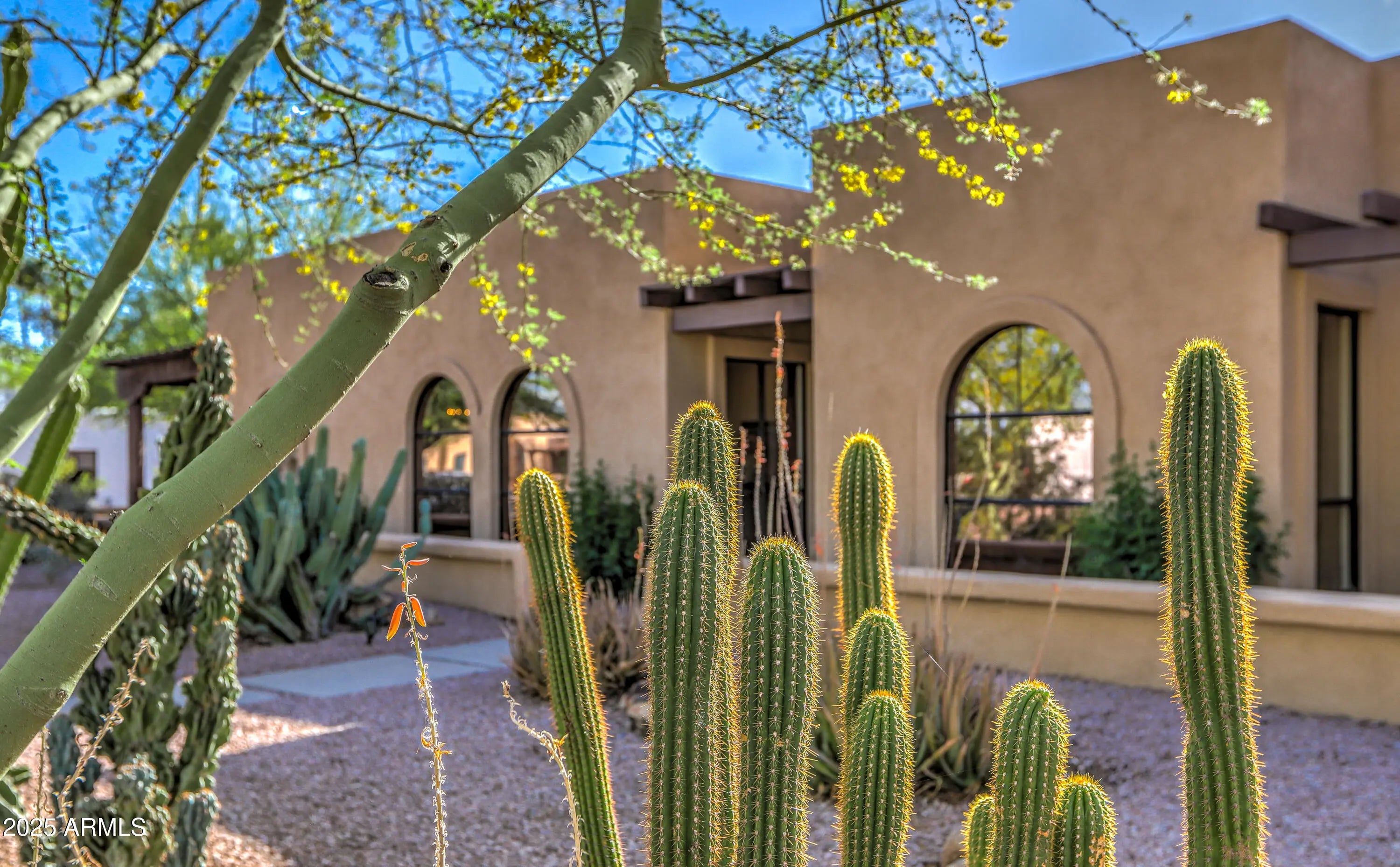 Photo of Listing #6848061