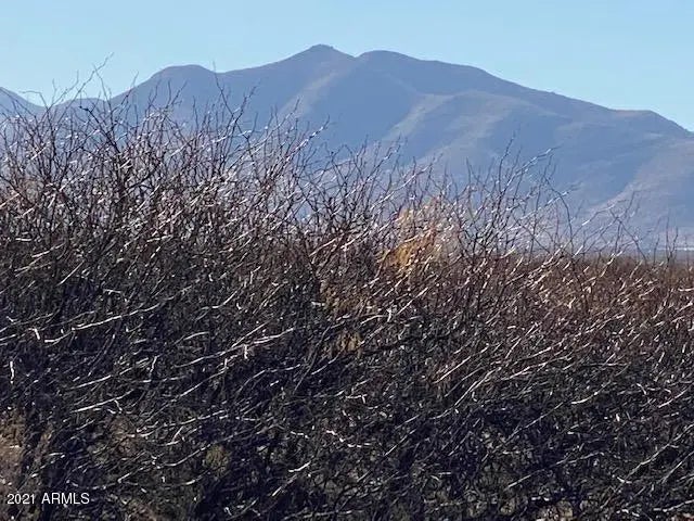 Photo of Listing #6848763