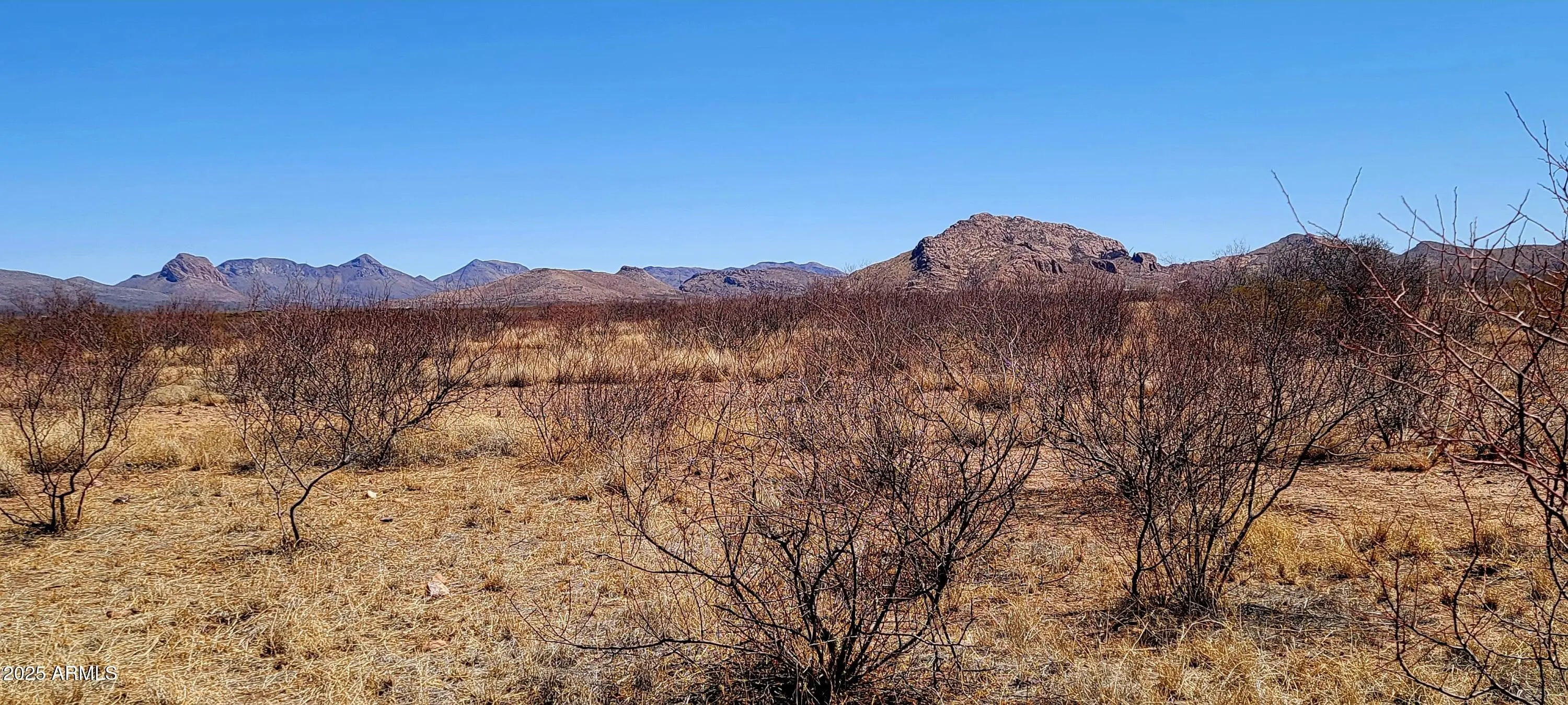 Photo of Listing #6848772