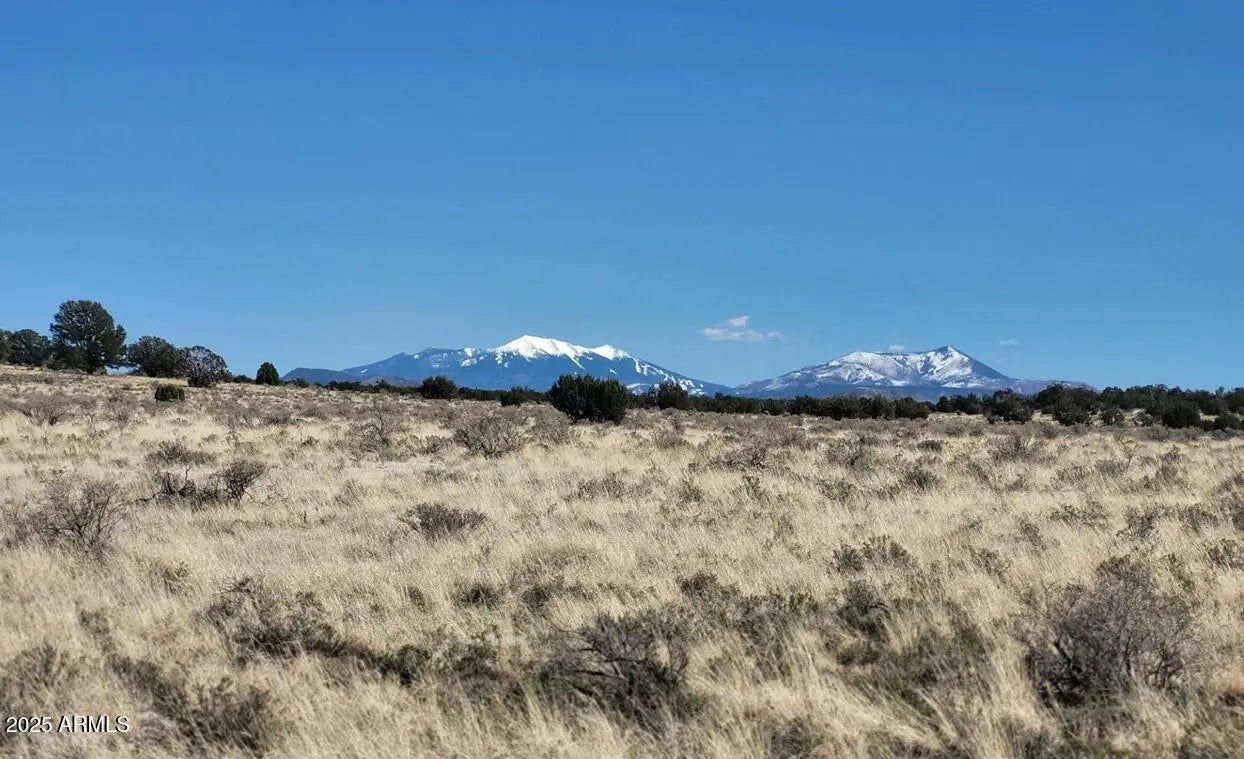 Photo of Listing #6851499