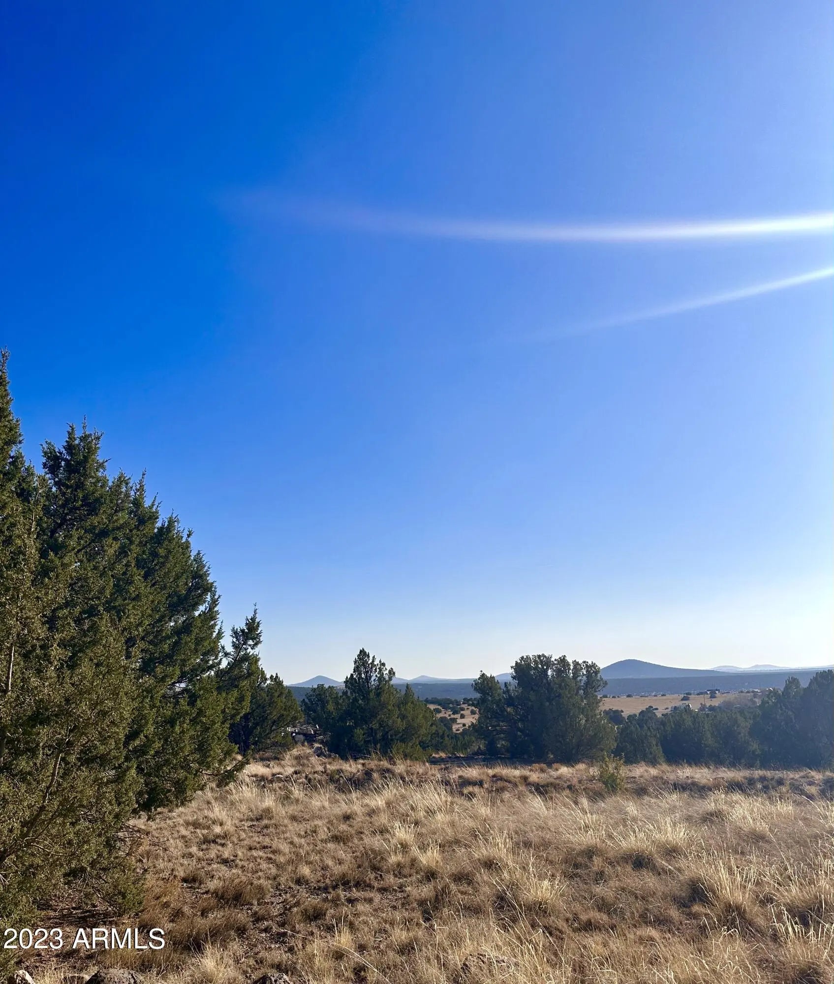 Photo of Listing #6853901