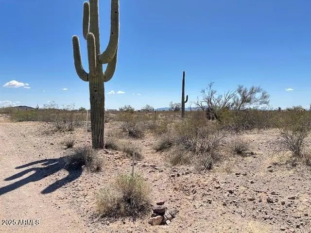 Photo of Listing #6854318