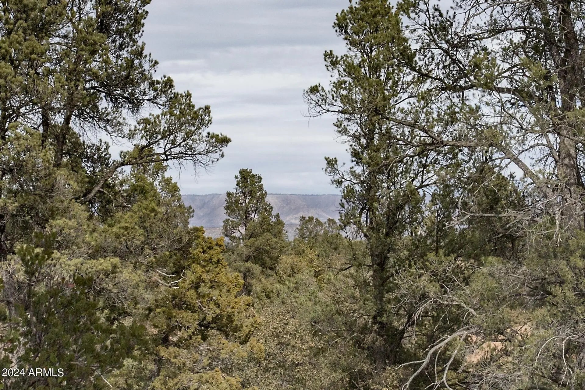 Photo of Listing #6938328