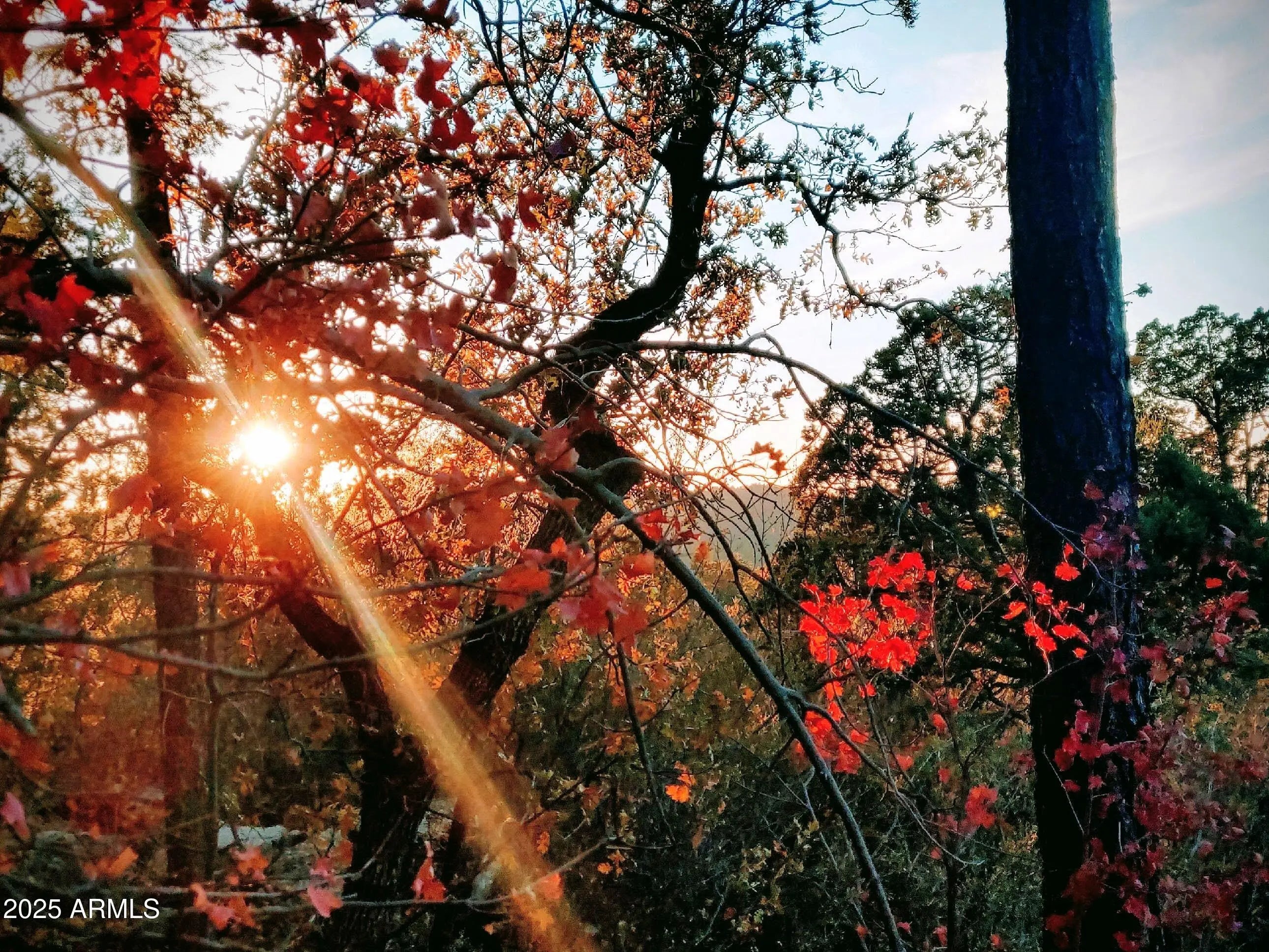 Photo of Listing #6857919