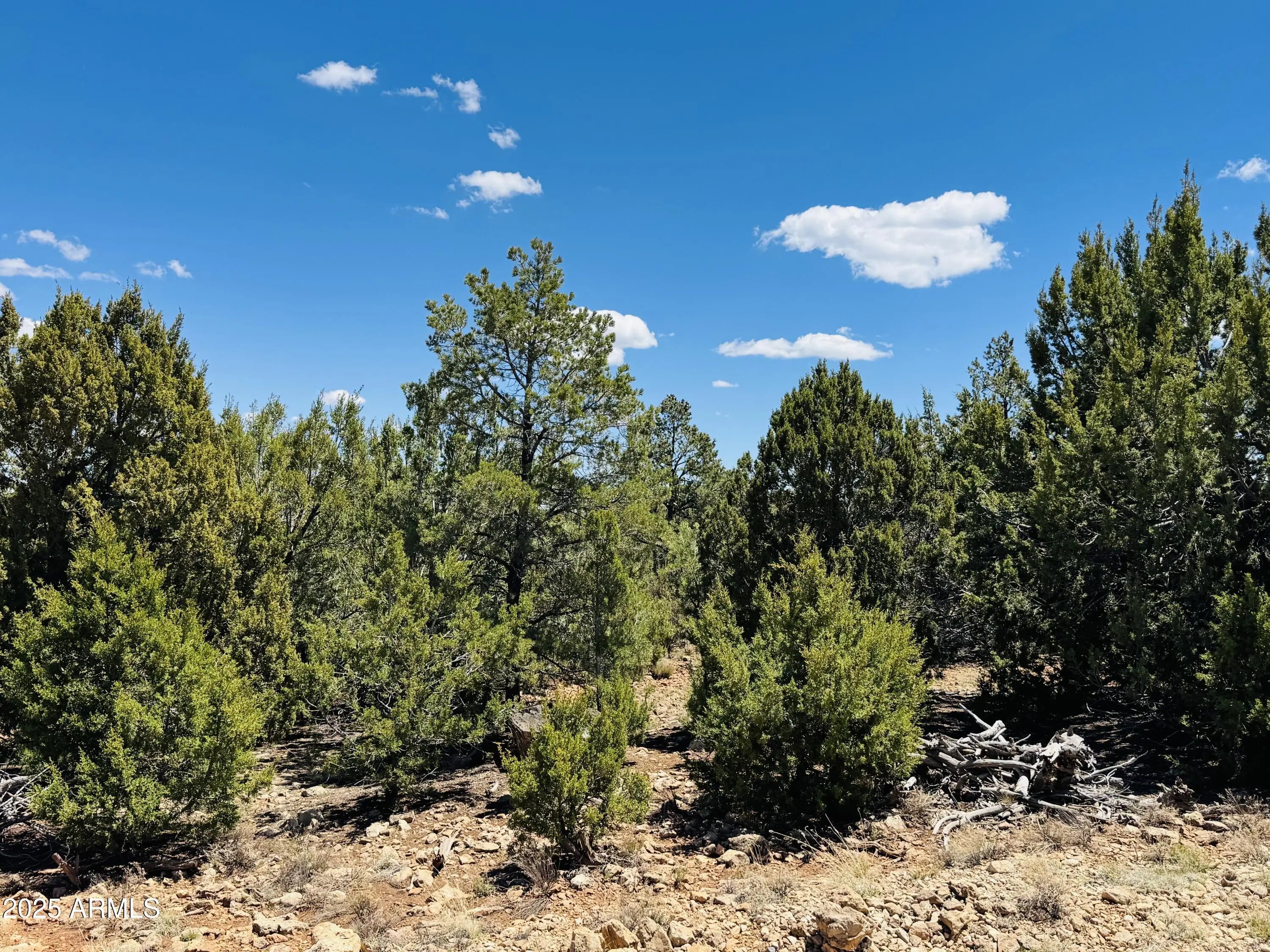 Photo of Listing #6860499