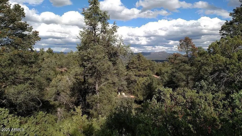 Photo of Listing #6861813