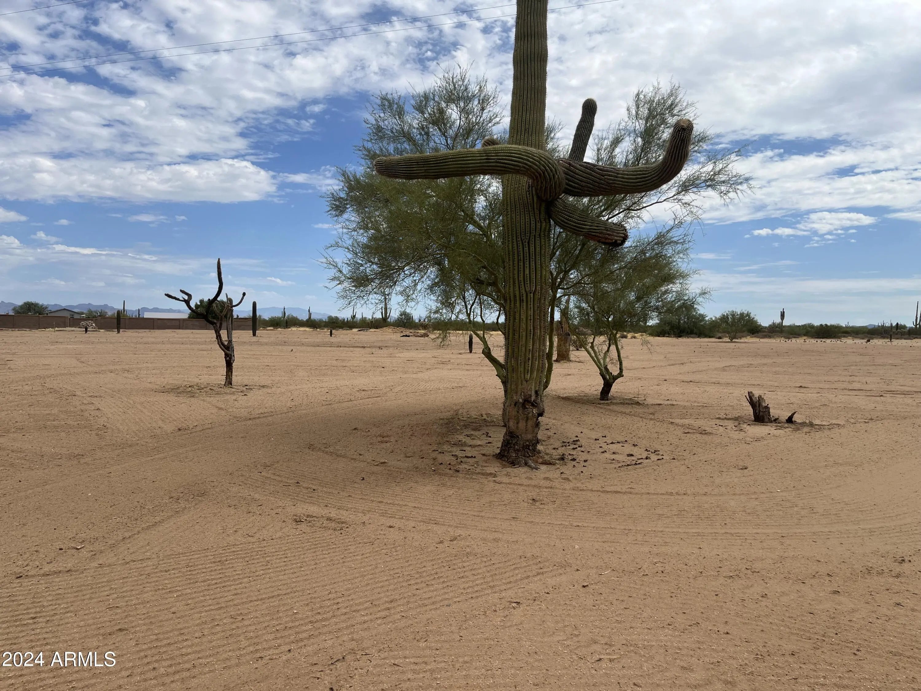 Photo of Listing #6862637