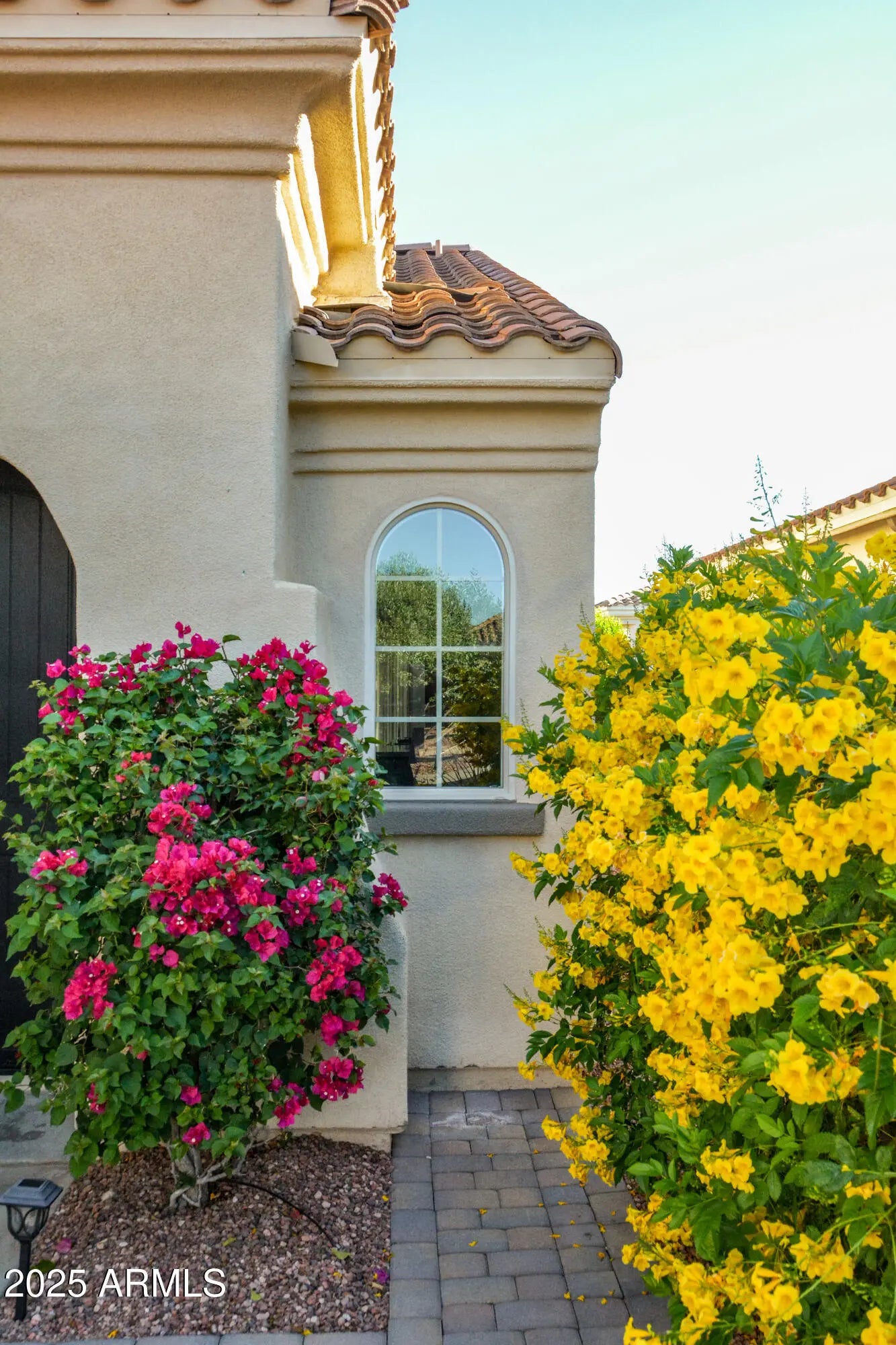 Photo of Listing #6863236