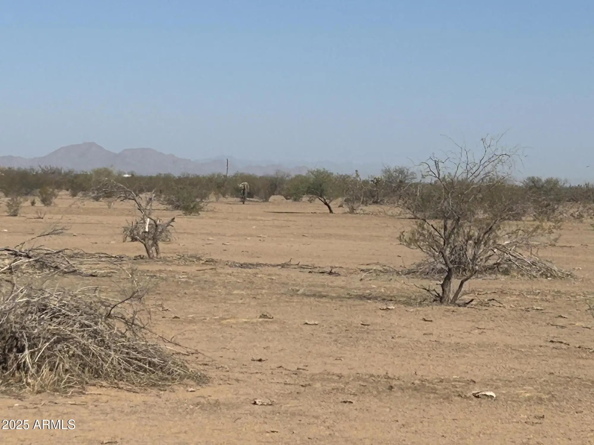 Photo of Listing #6865288