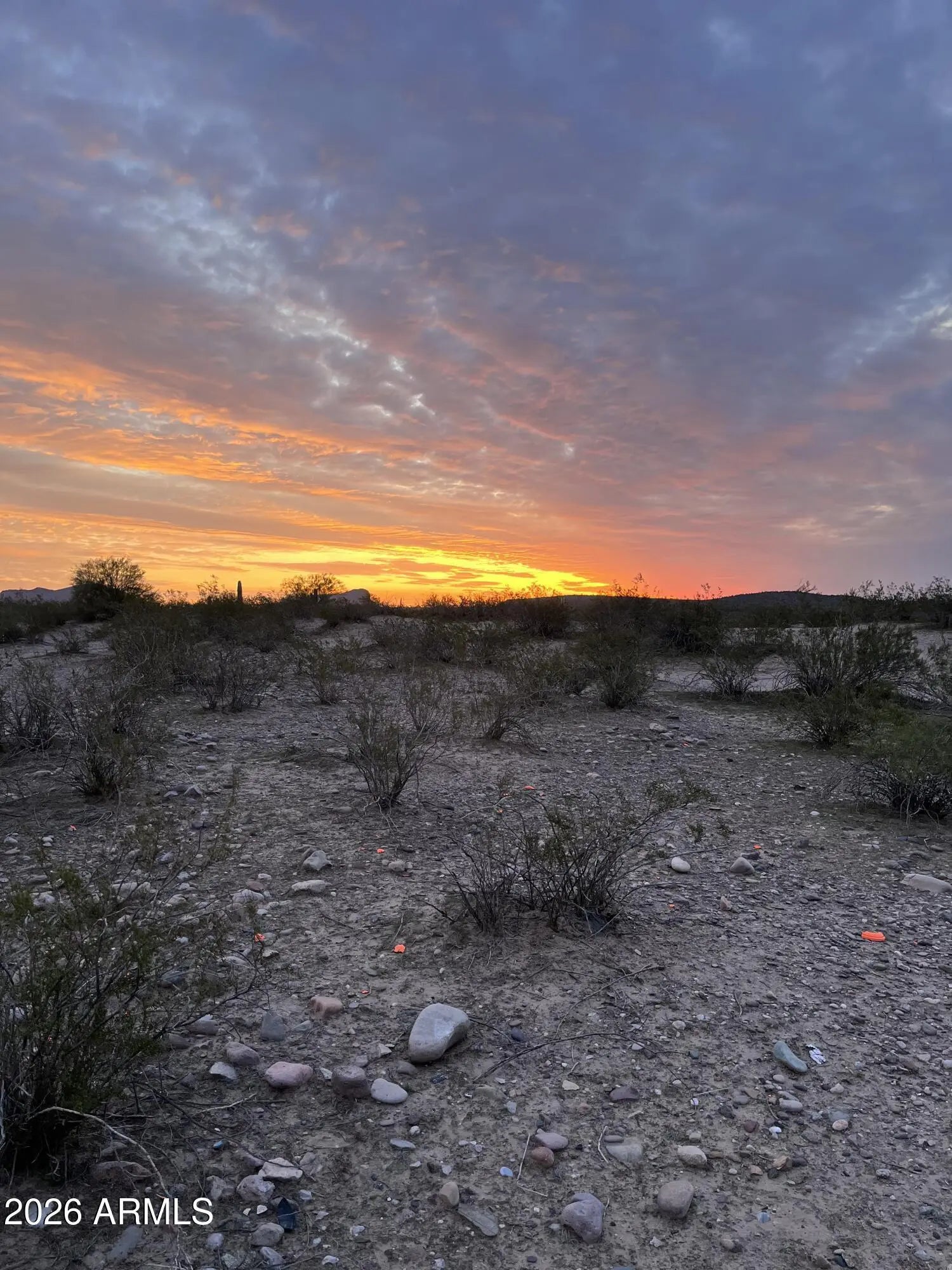 Photo of Listing #6865078