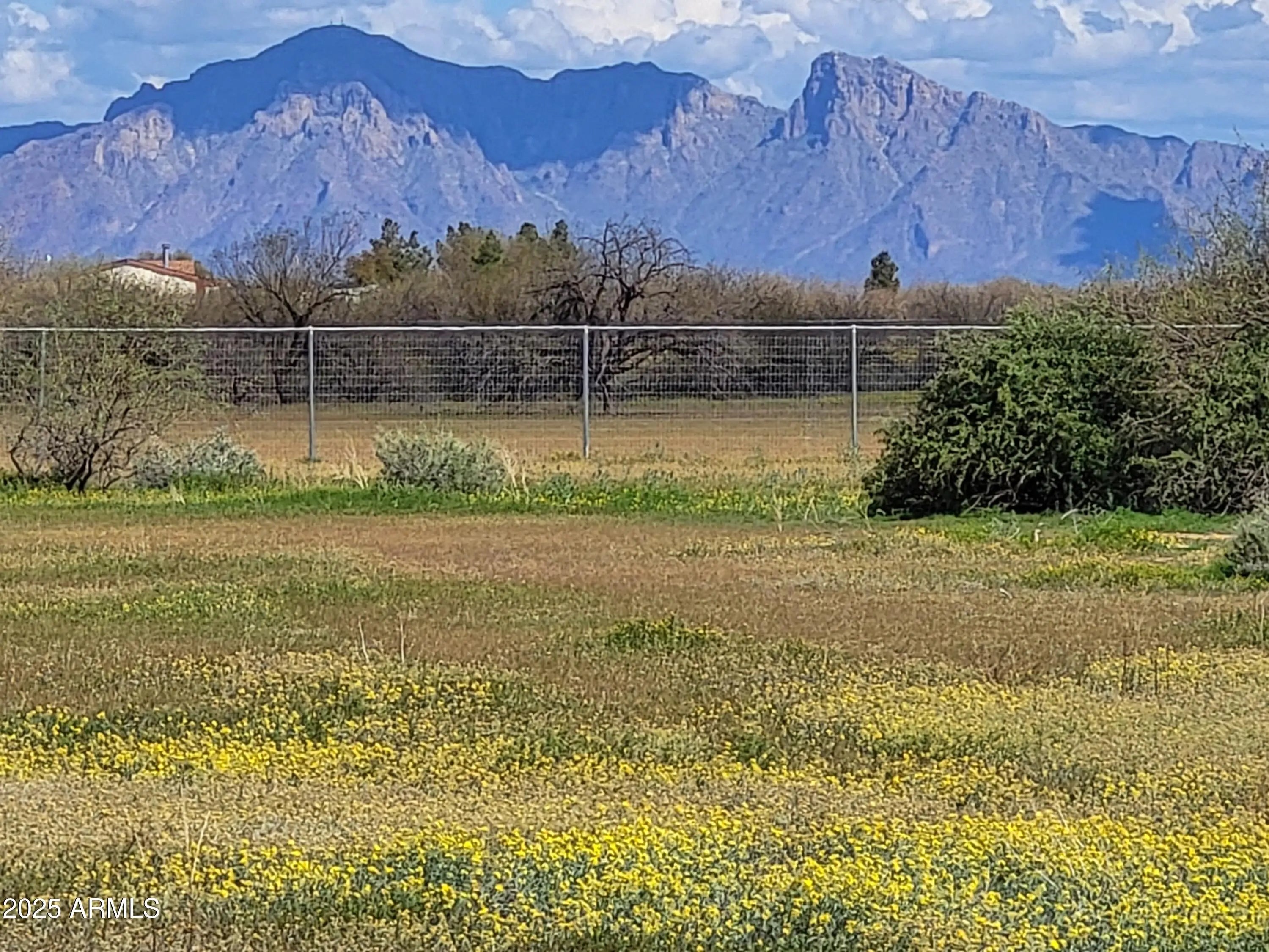 Photo of Listing #6865261