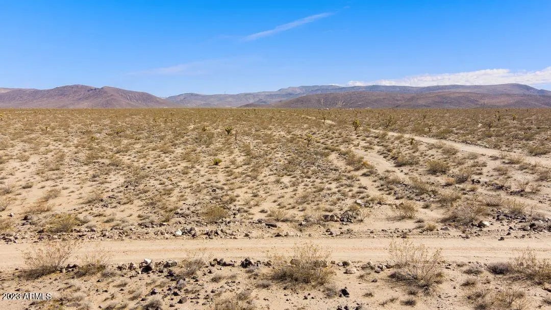 Photo of Listing #6865477