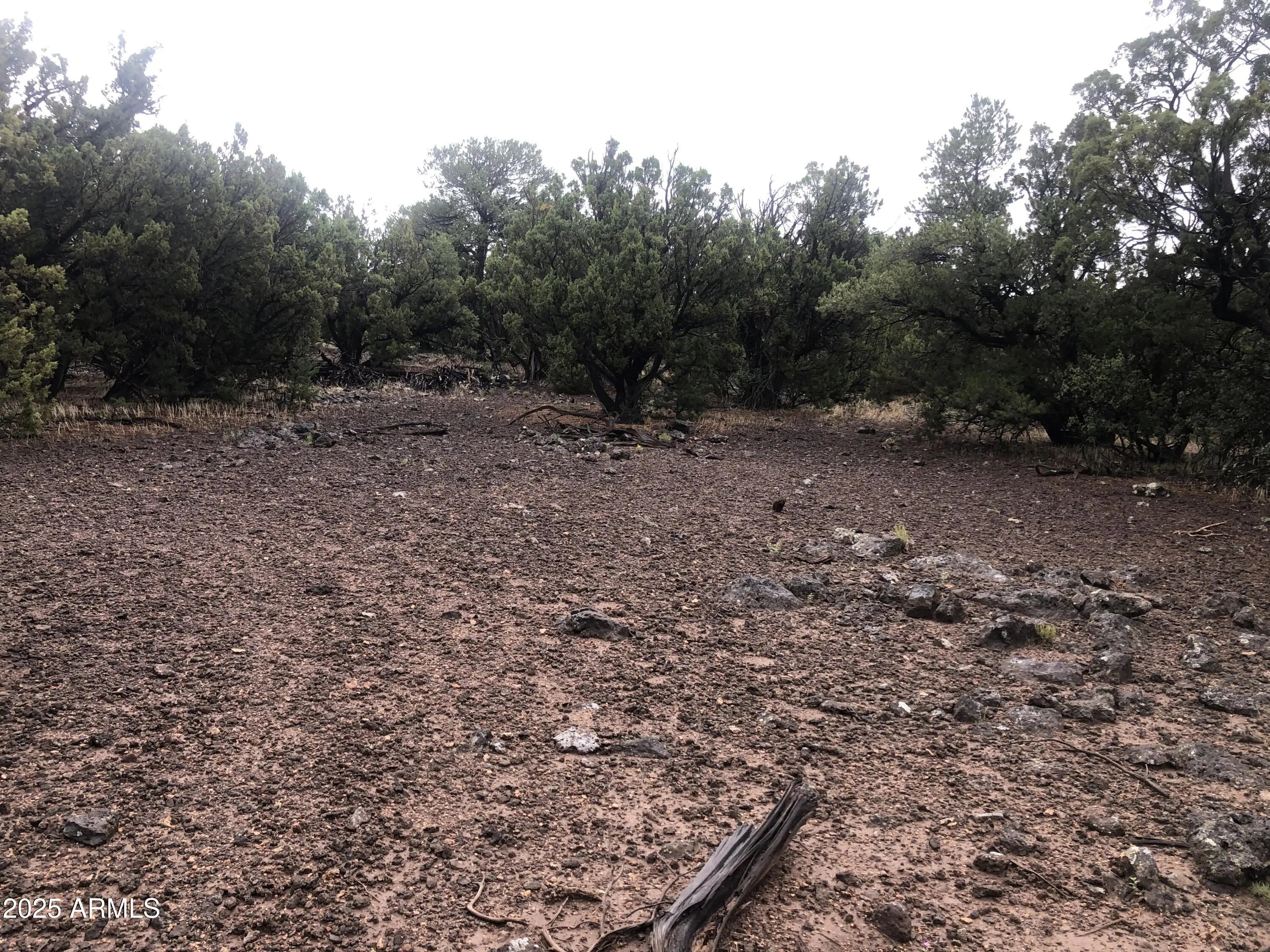 Photo of Listing #6866325