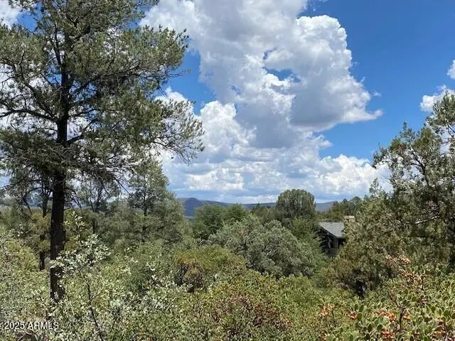 Photo of Listing #6865817