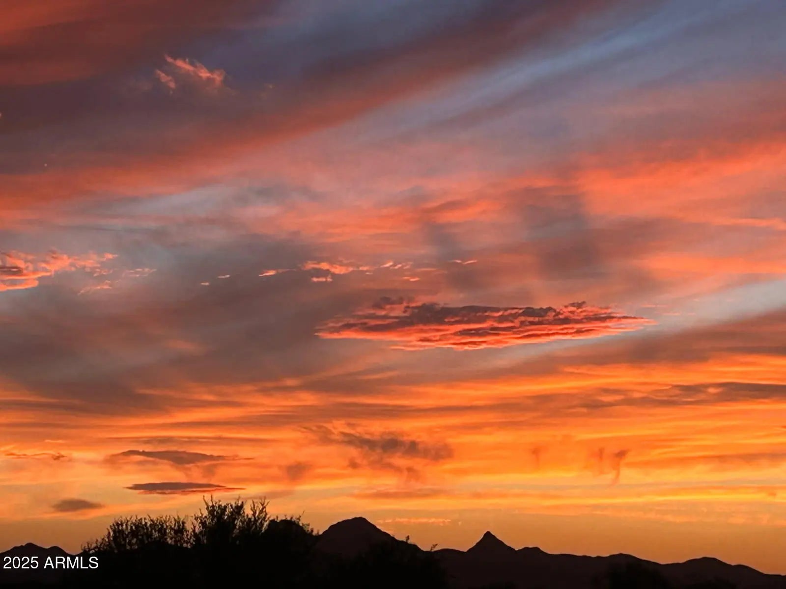 Photo of Listing #6865987