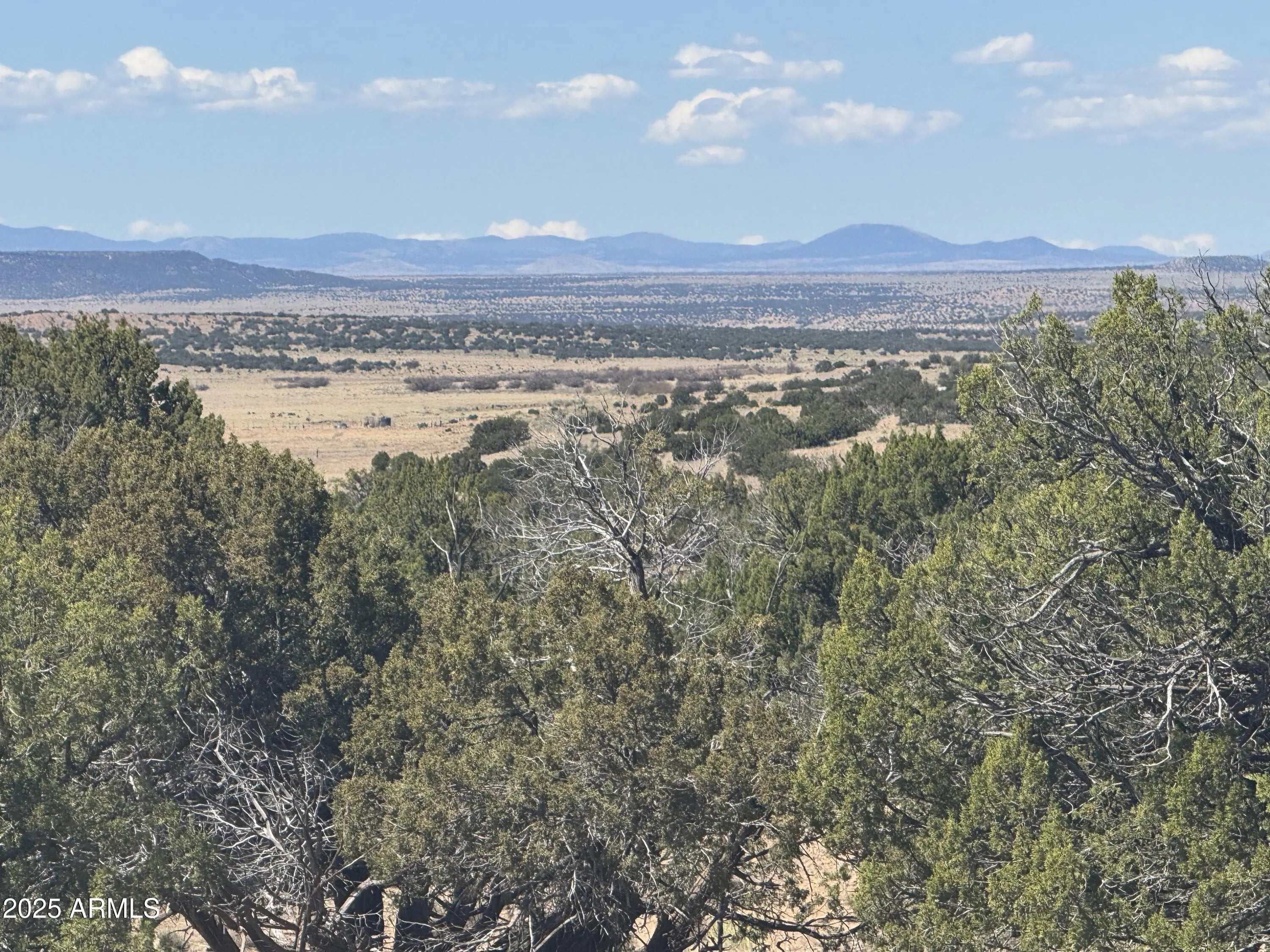 Photo of Listing #6866678