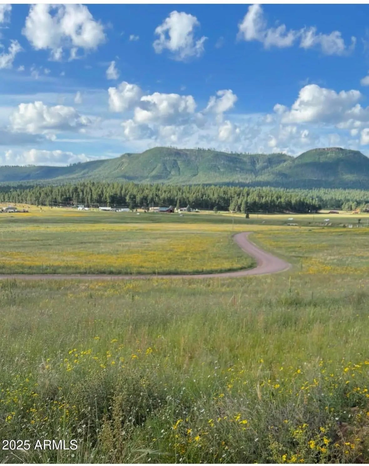 Photo of Listing #6867134