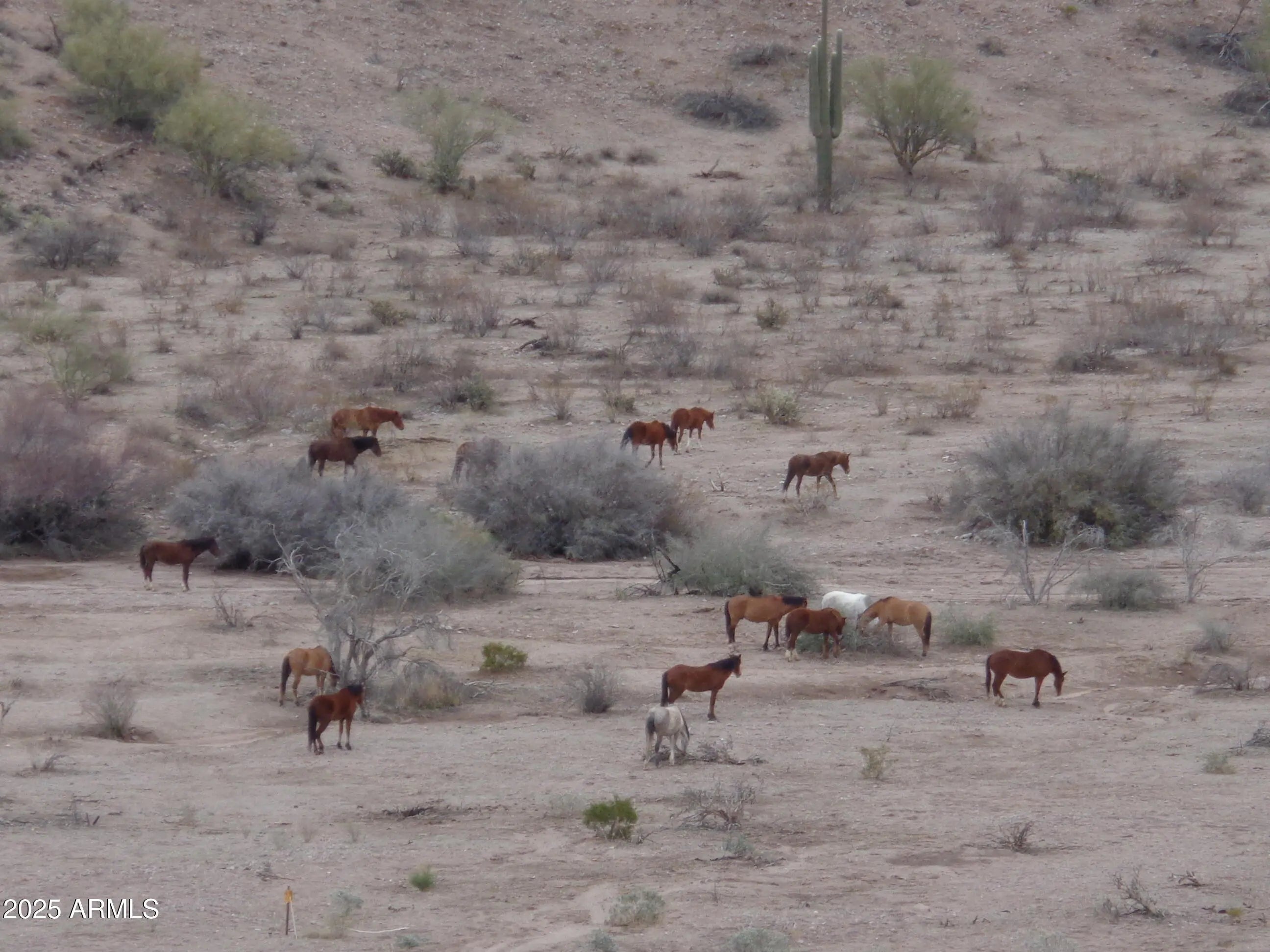 Photo of Listing #6868555