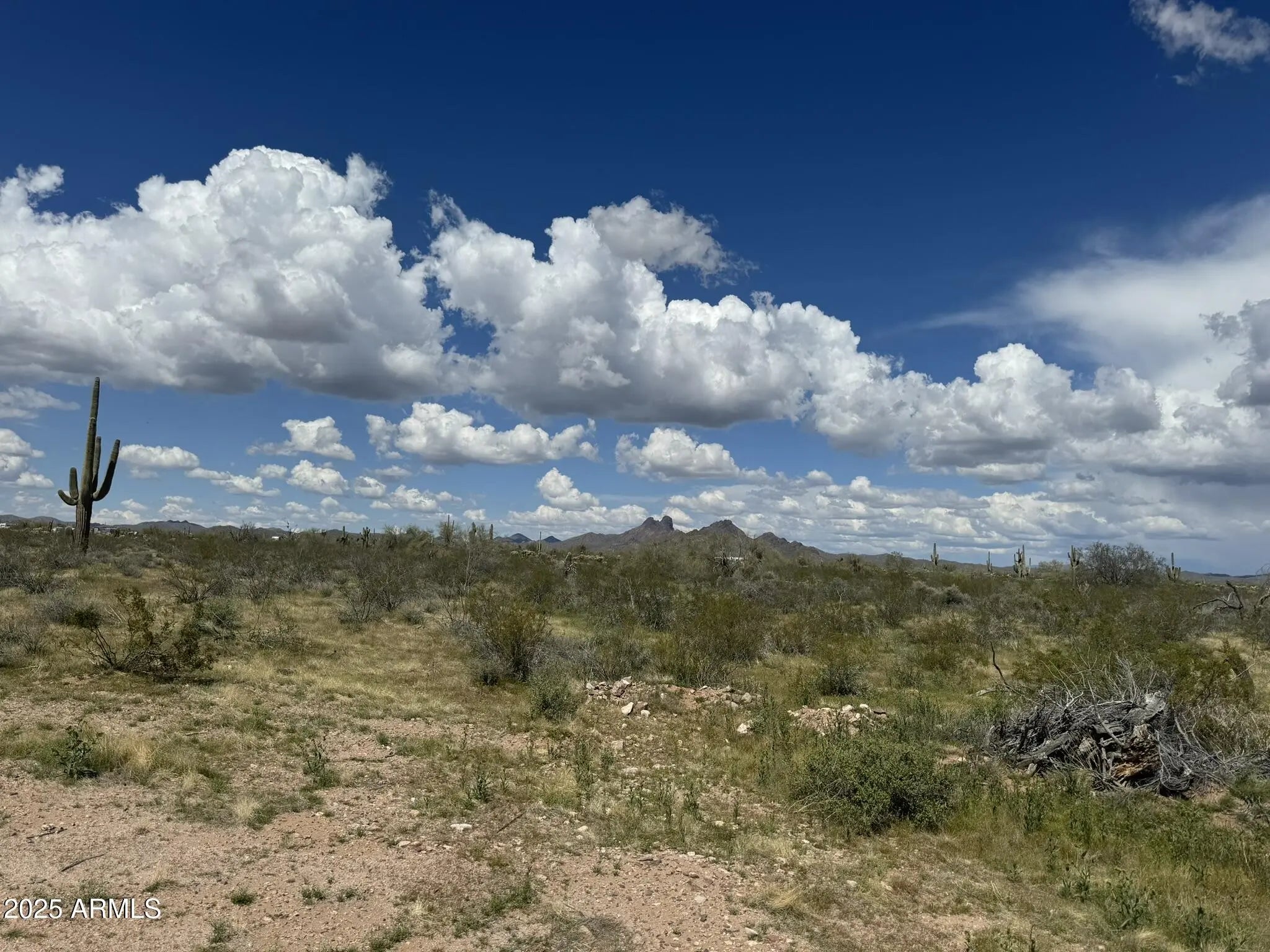 Photo of Listing #6867566