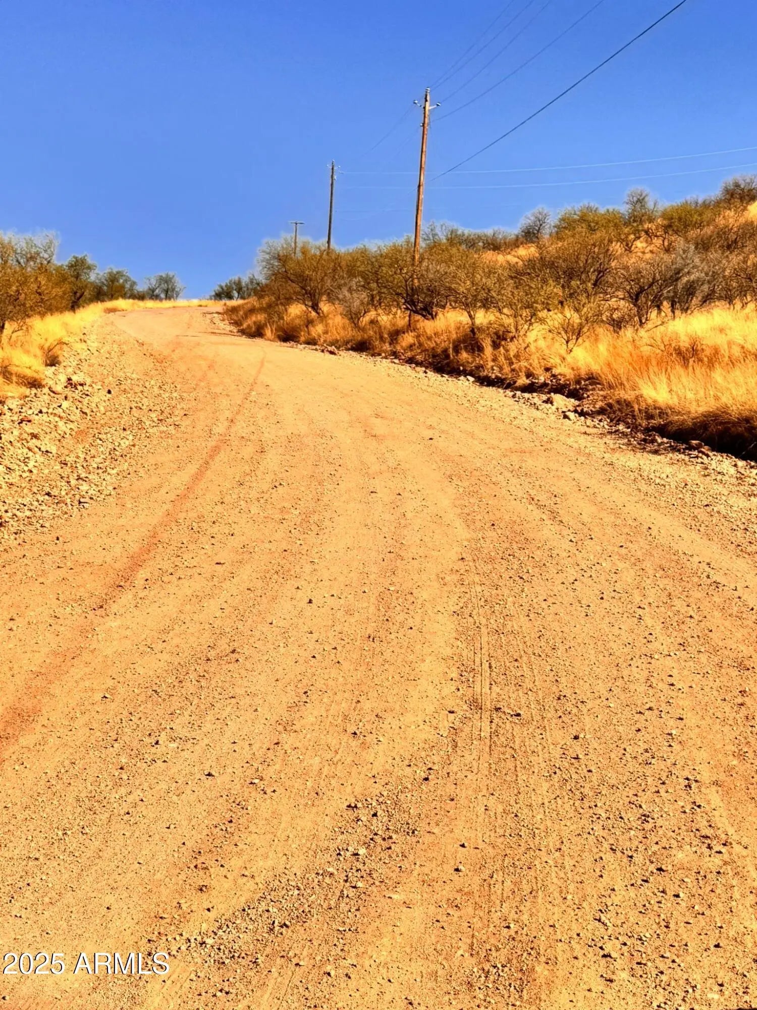 Photo of Listing #6869506