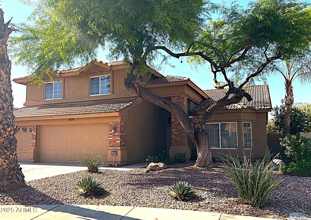 1838 W Enfield Way, Chandler