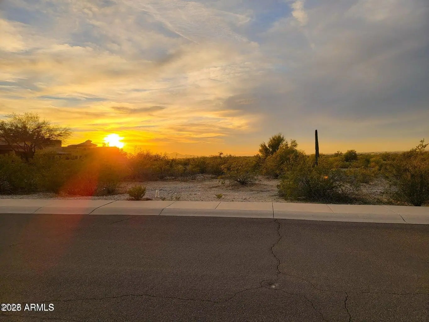 Photo of Listing #6874629