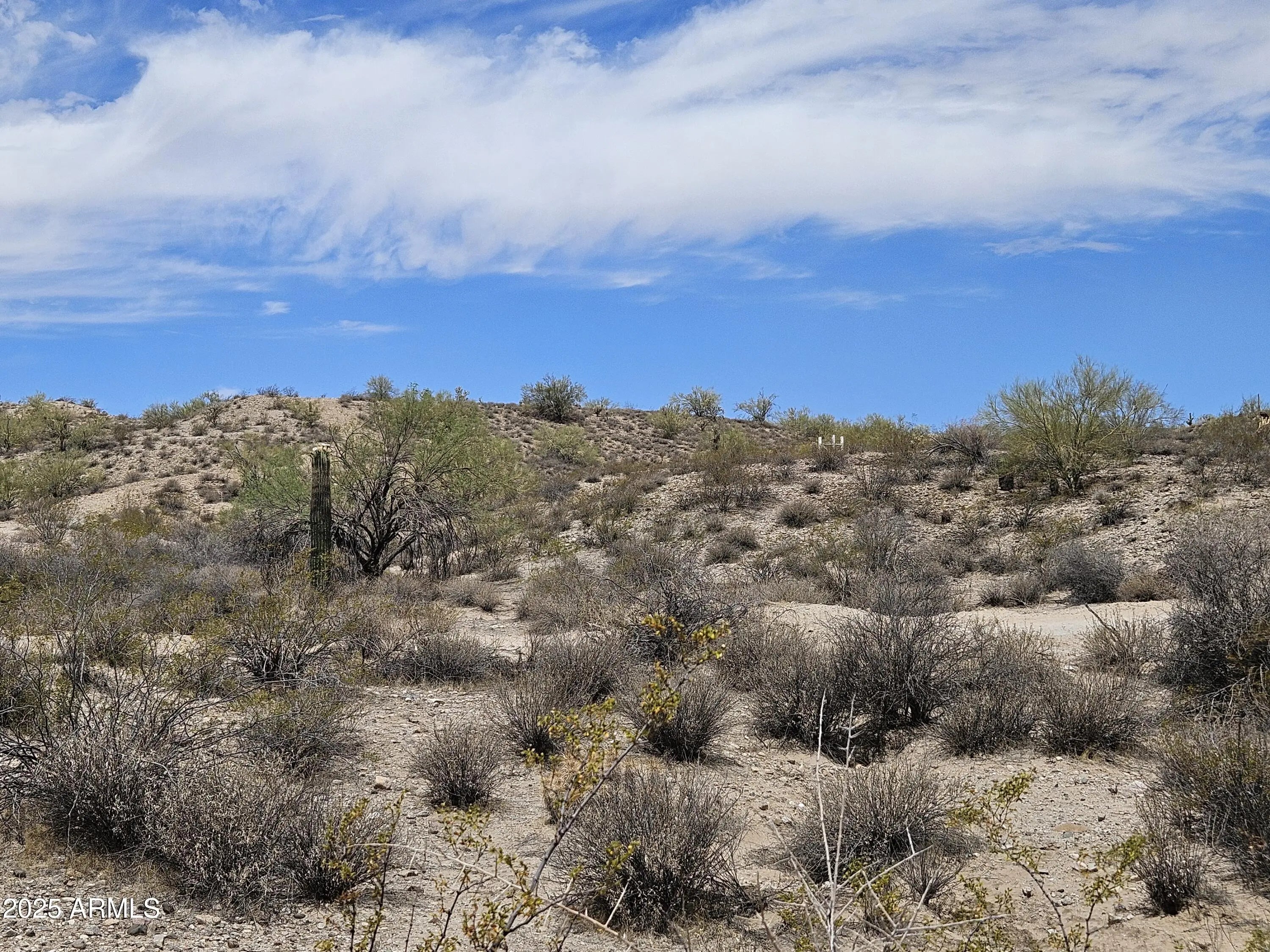 Photo of Listing #6873230