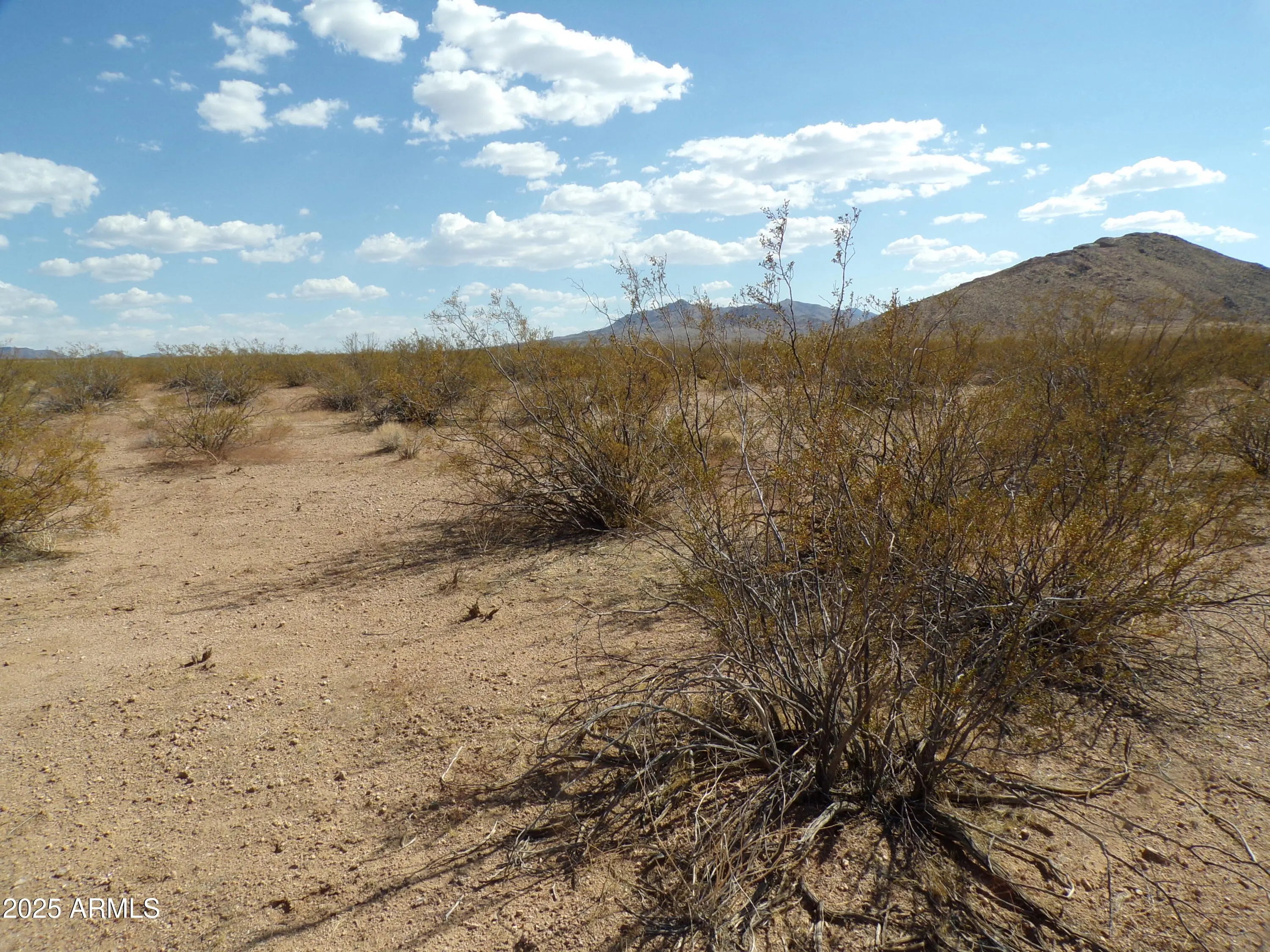 Photo of Listing #6874003