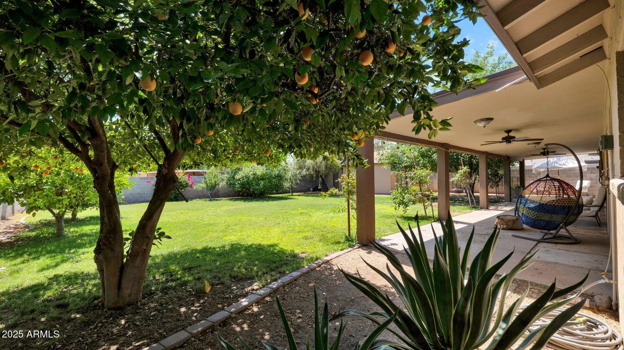 Photo of Listing #6876868