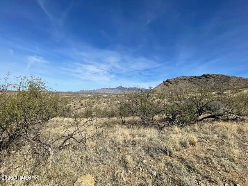 Photo of Listing #6876453