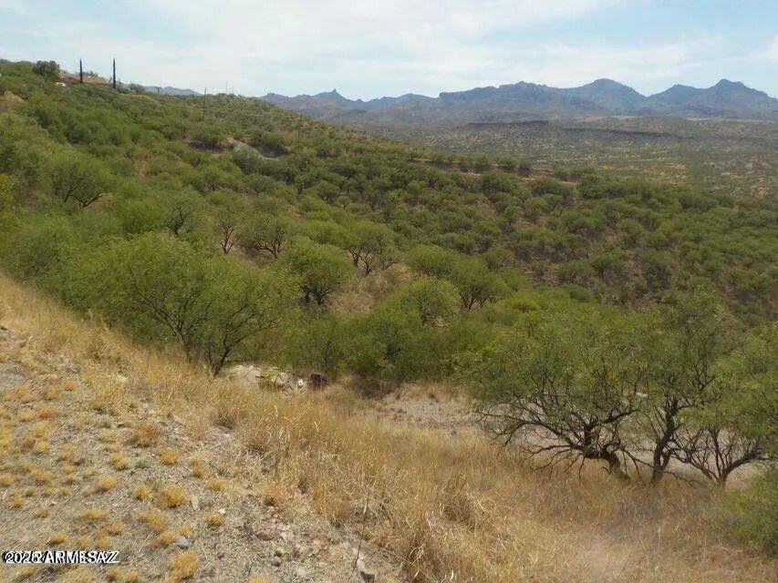 Photo of Listing #6876466