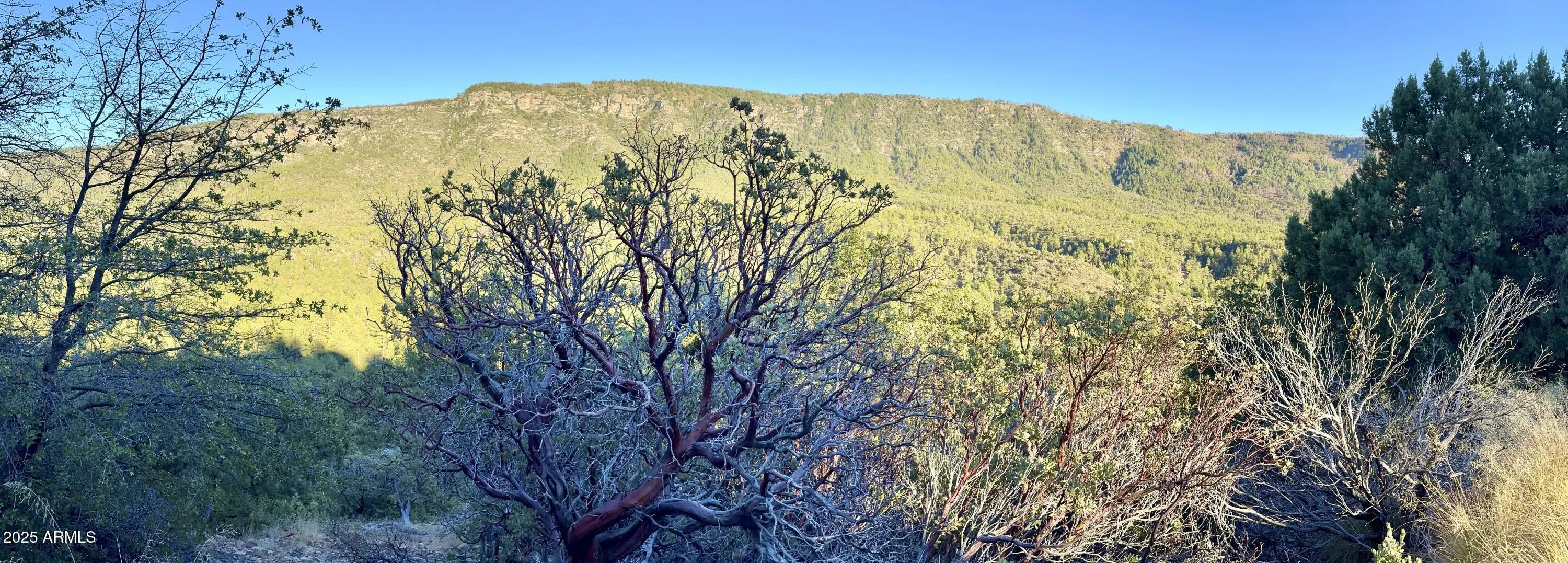 Photo of Listing #6877446