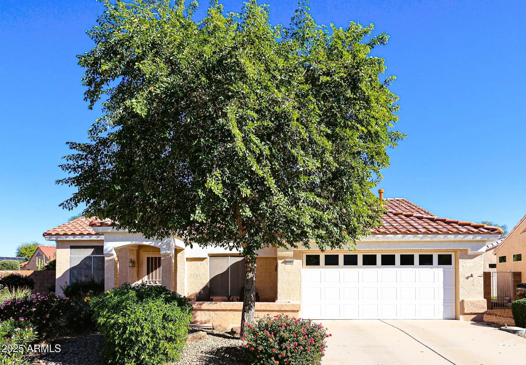 Photo of Listing #6878072