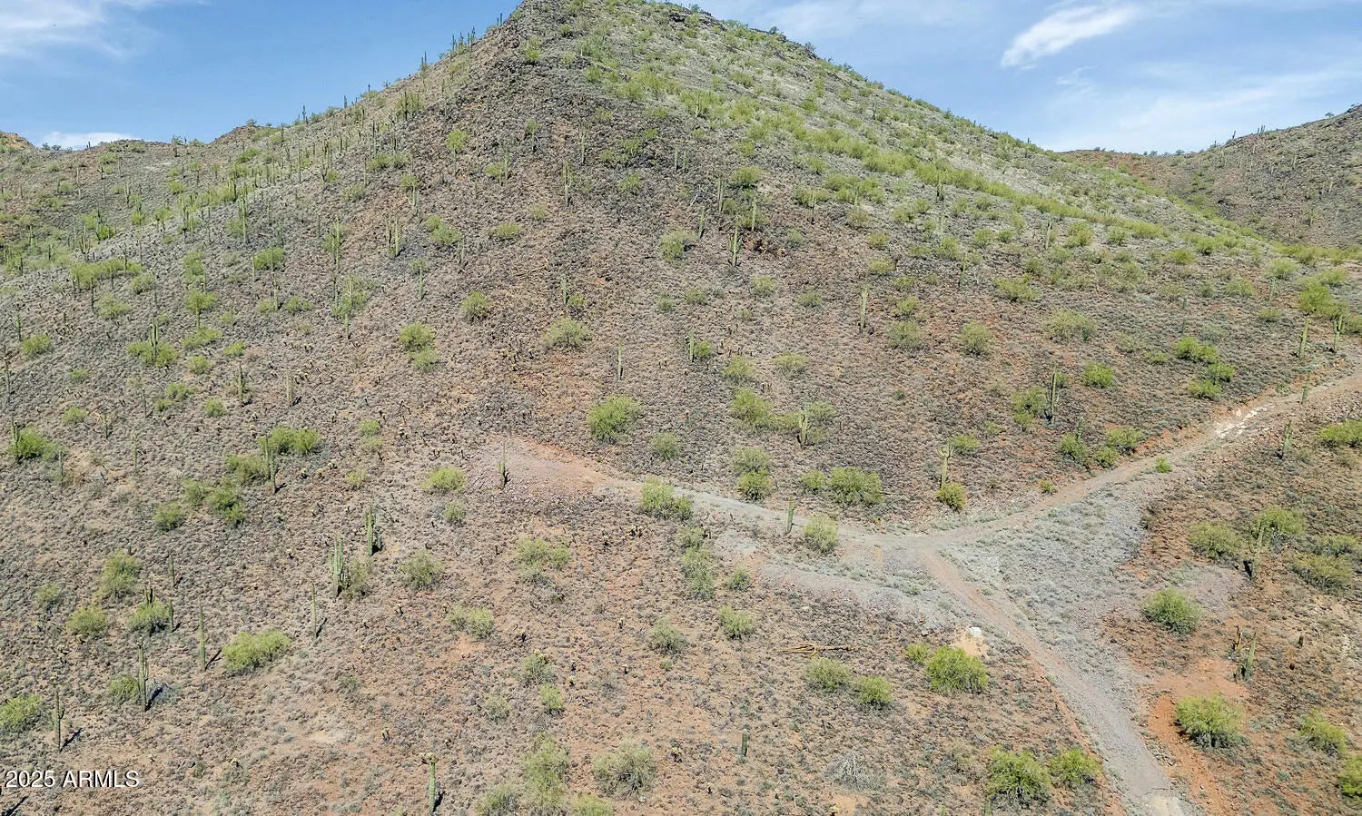 Photo of Listing #6879101