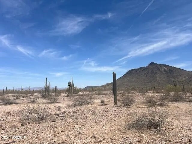 Photo of Listing #6879399