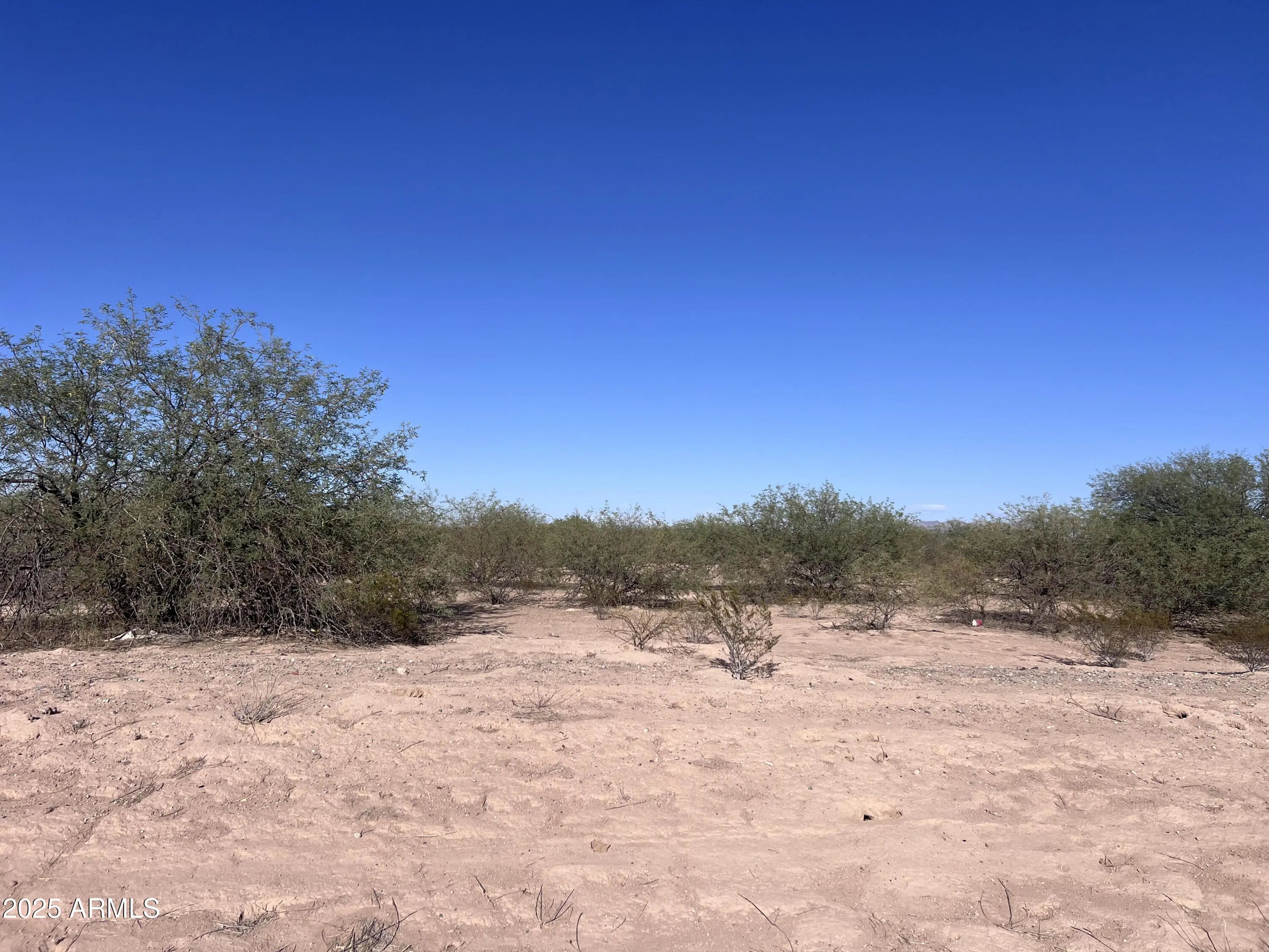 Photo of Listing #6884786