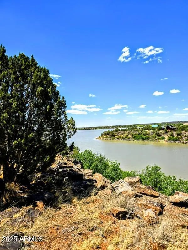 Photo of Listing #6885639